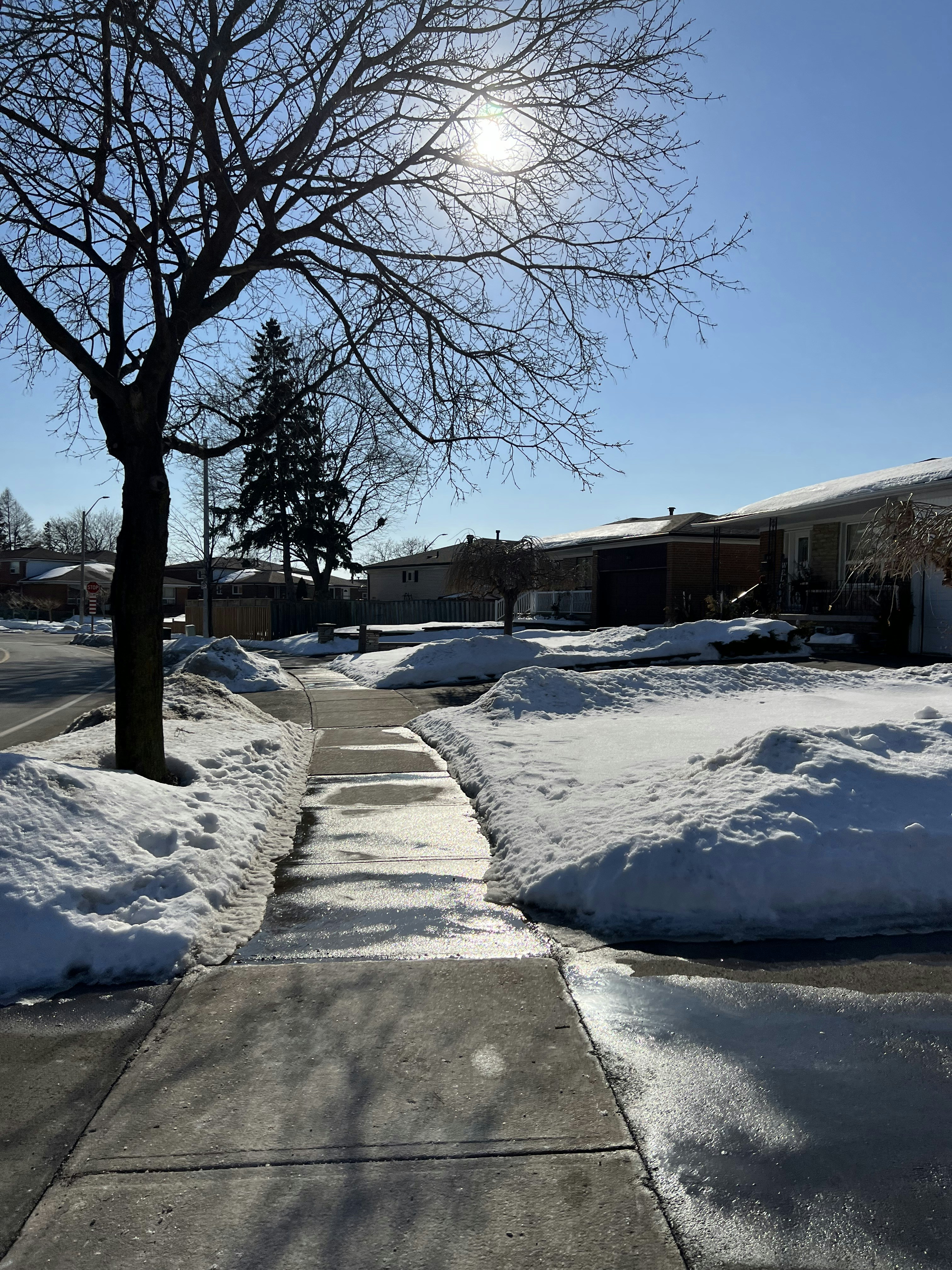 a sidewalk with snow on it and a tree in the background