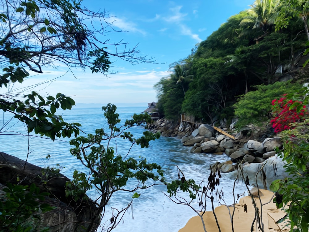 a view of a body of water from a cliff