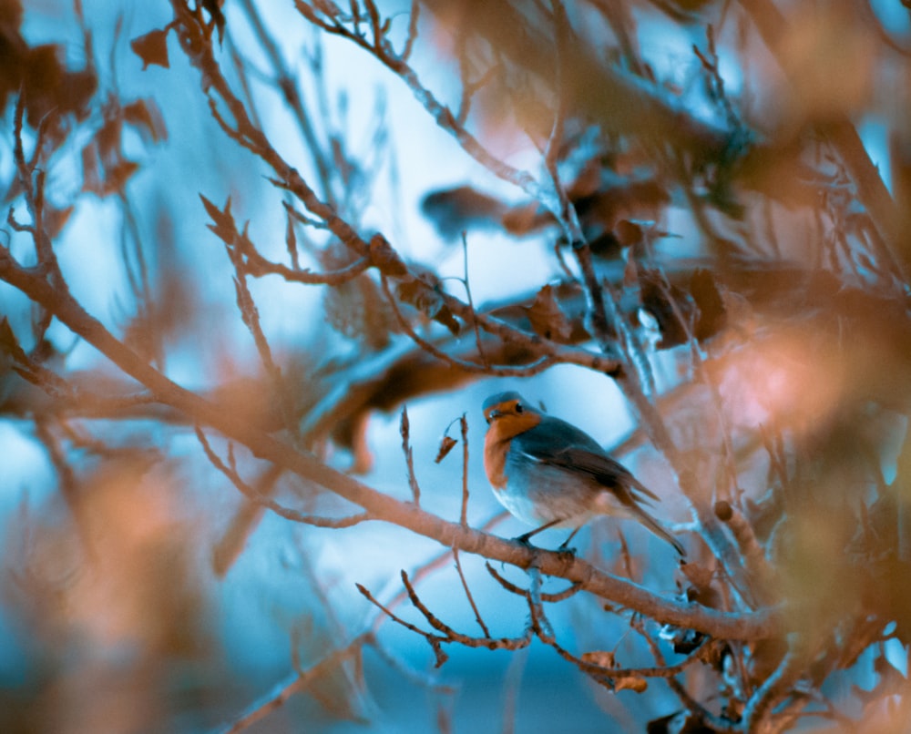 a small bird perched on a tree branch