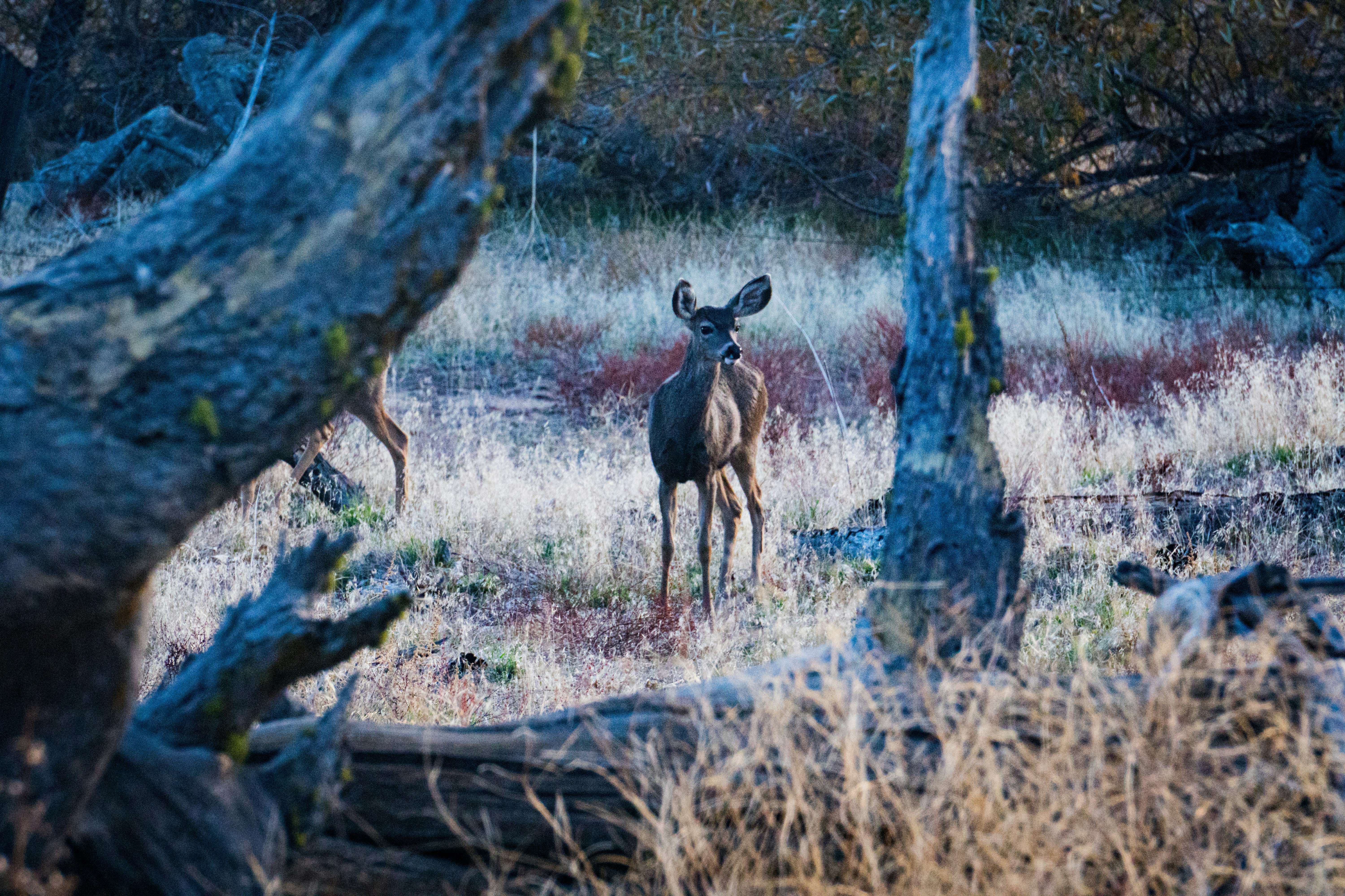 Photo by pmayorphotos