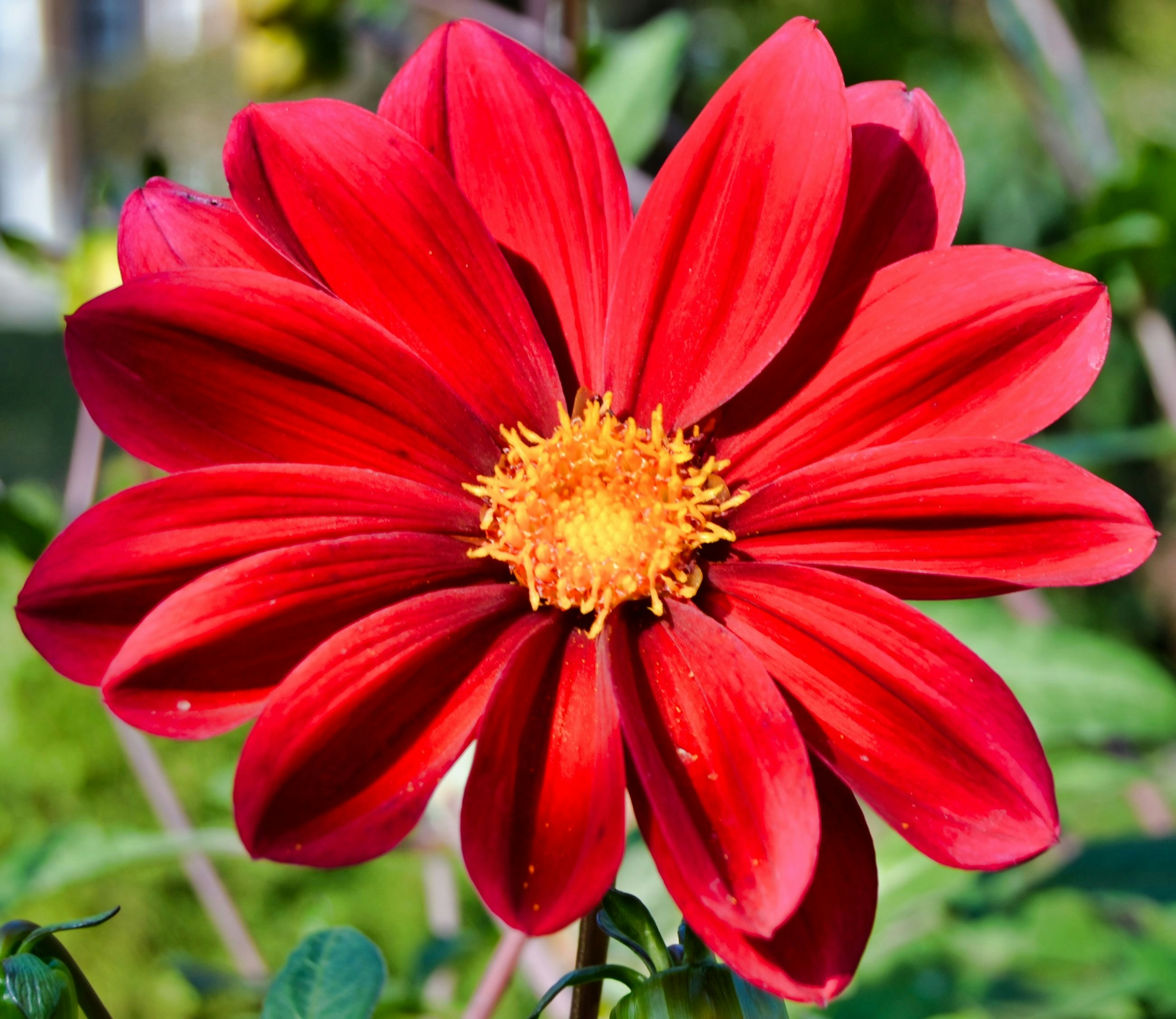 Photo by markagardphoto