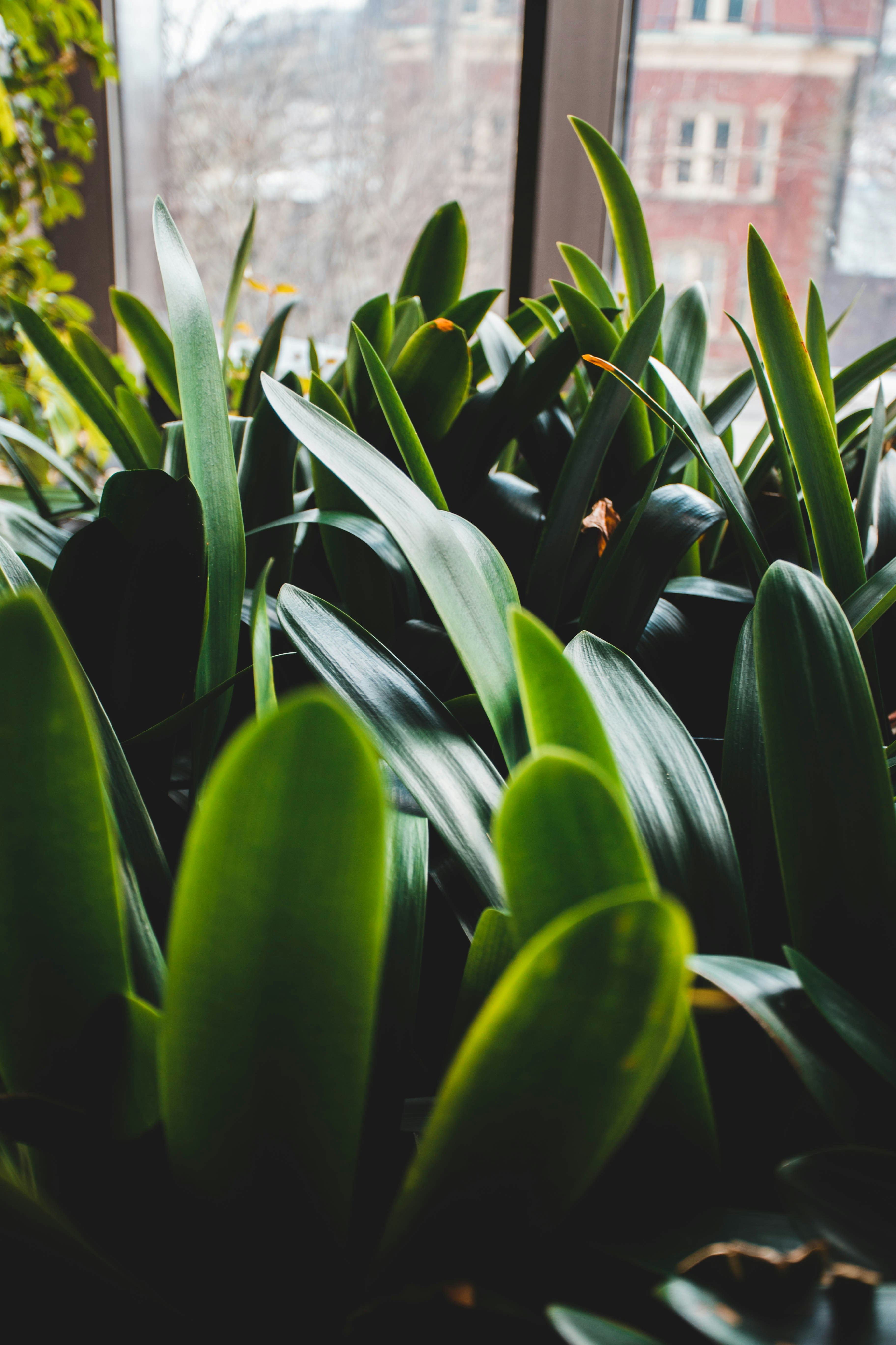 Photo by introspectivedsgn