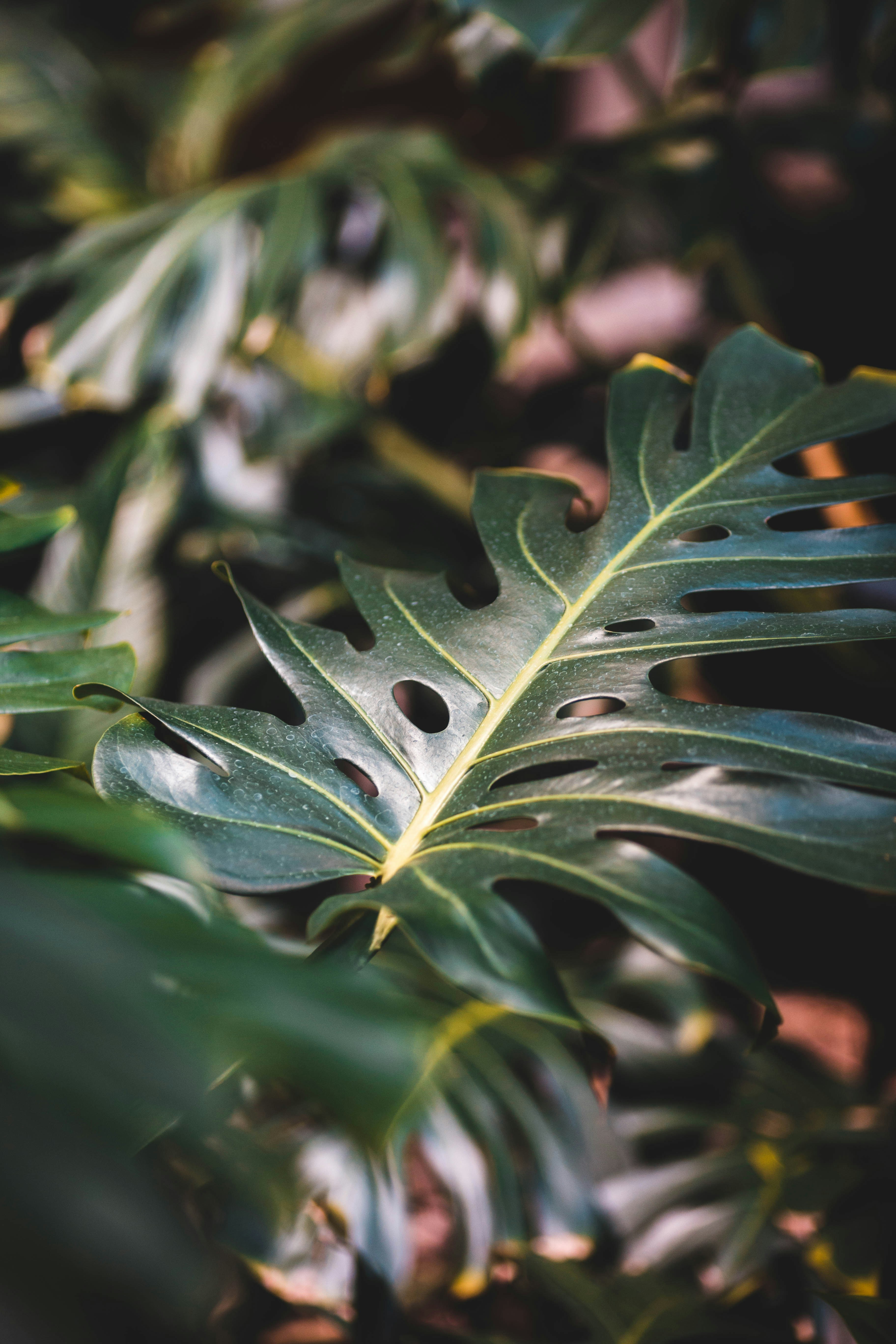 Photo by introspectivedsgn