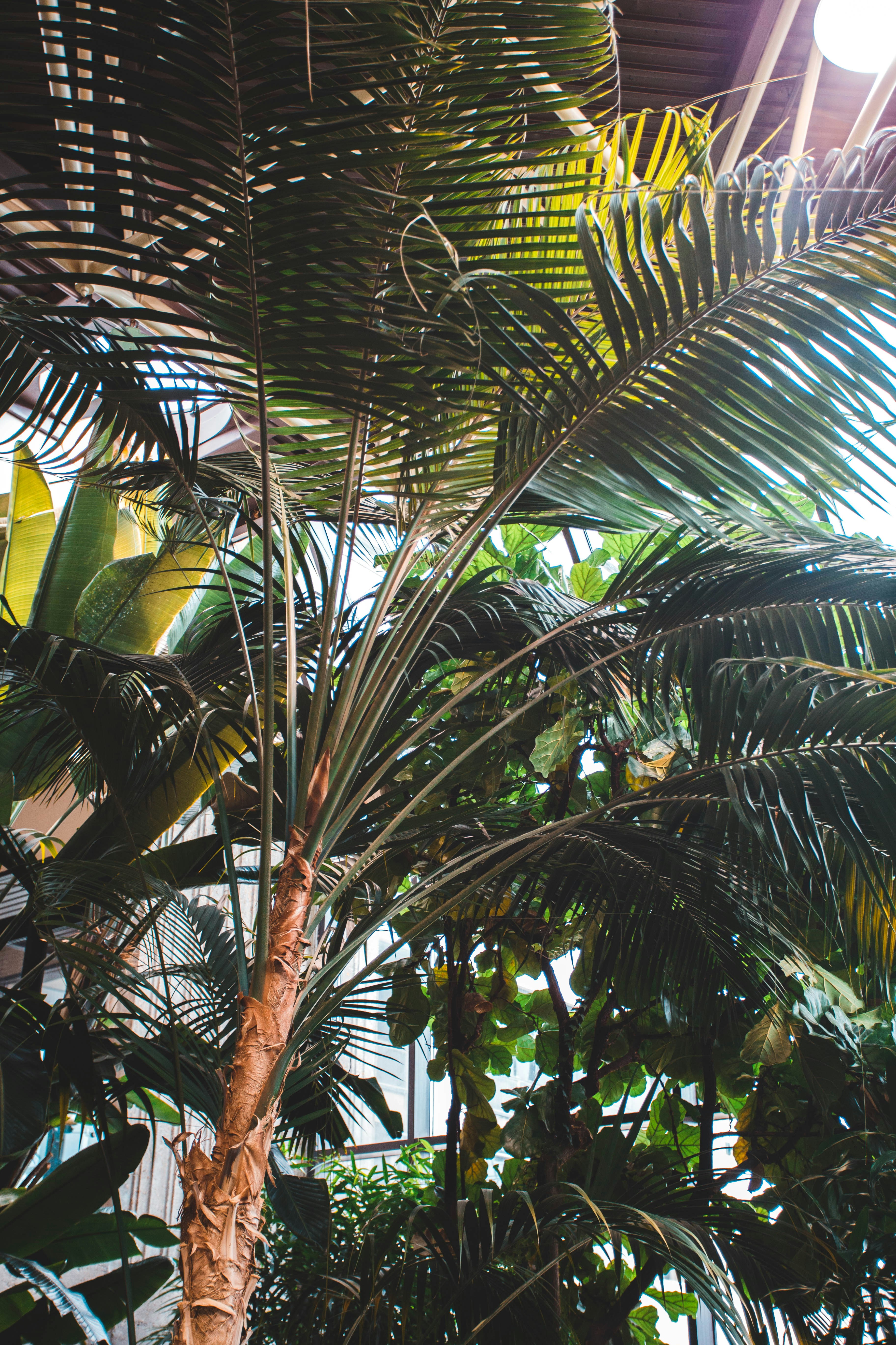 Photo by introspectivedsgn