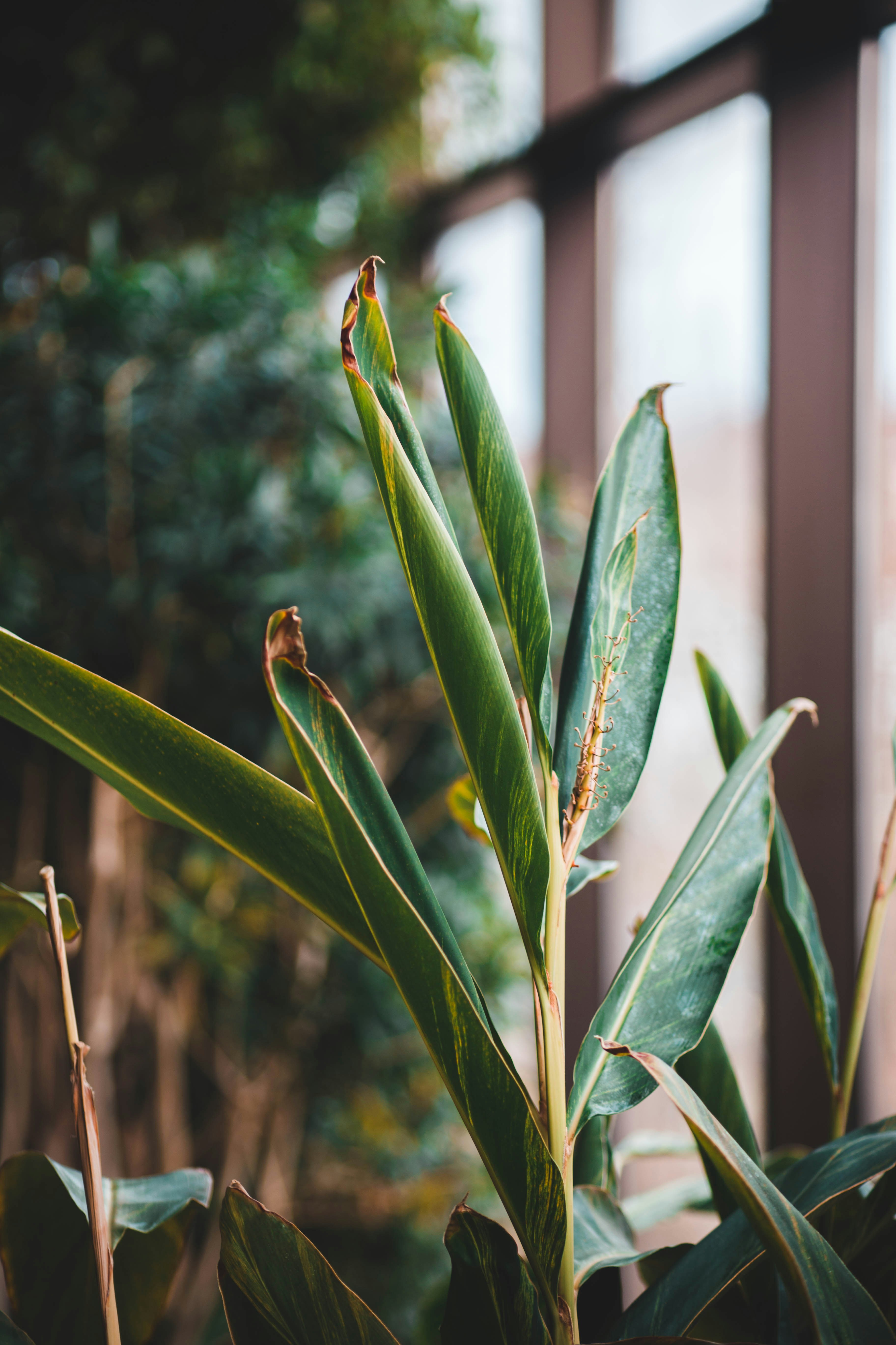 Photo by introspectivedsgn