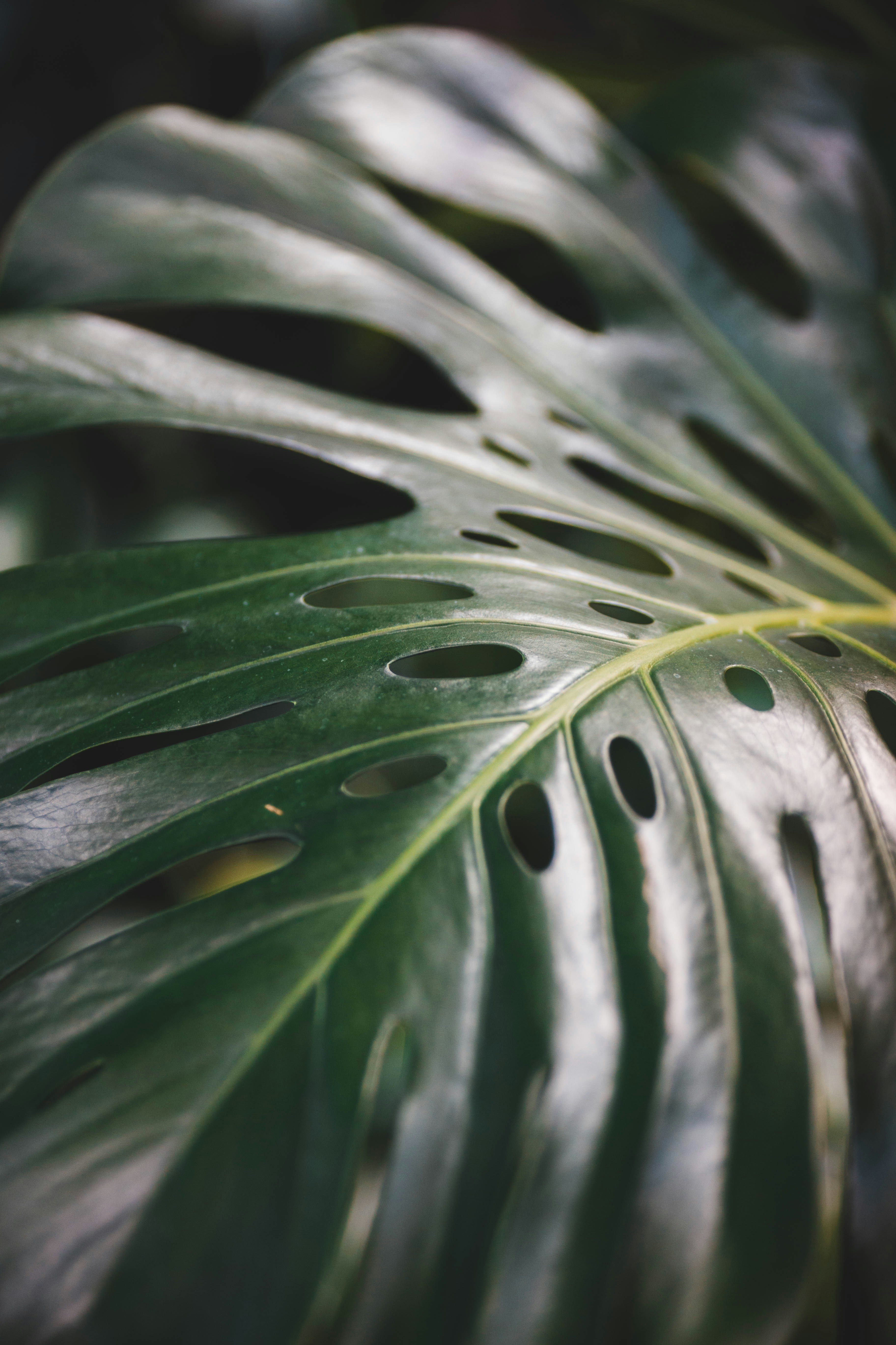 Photo by introspectivedsgn