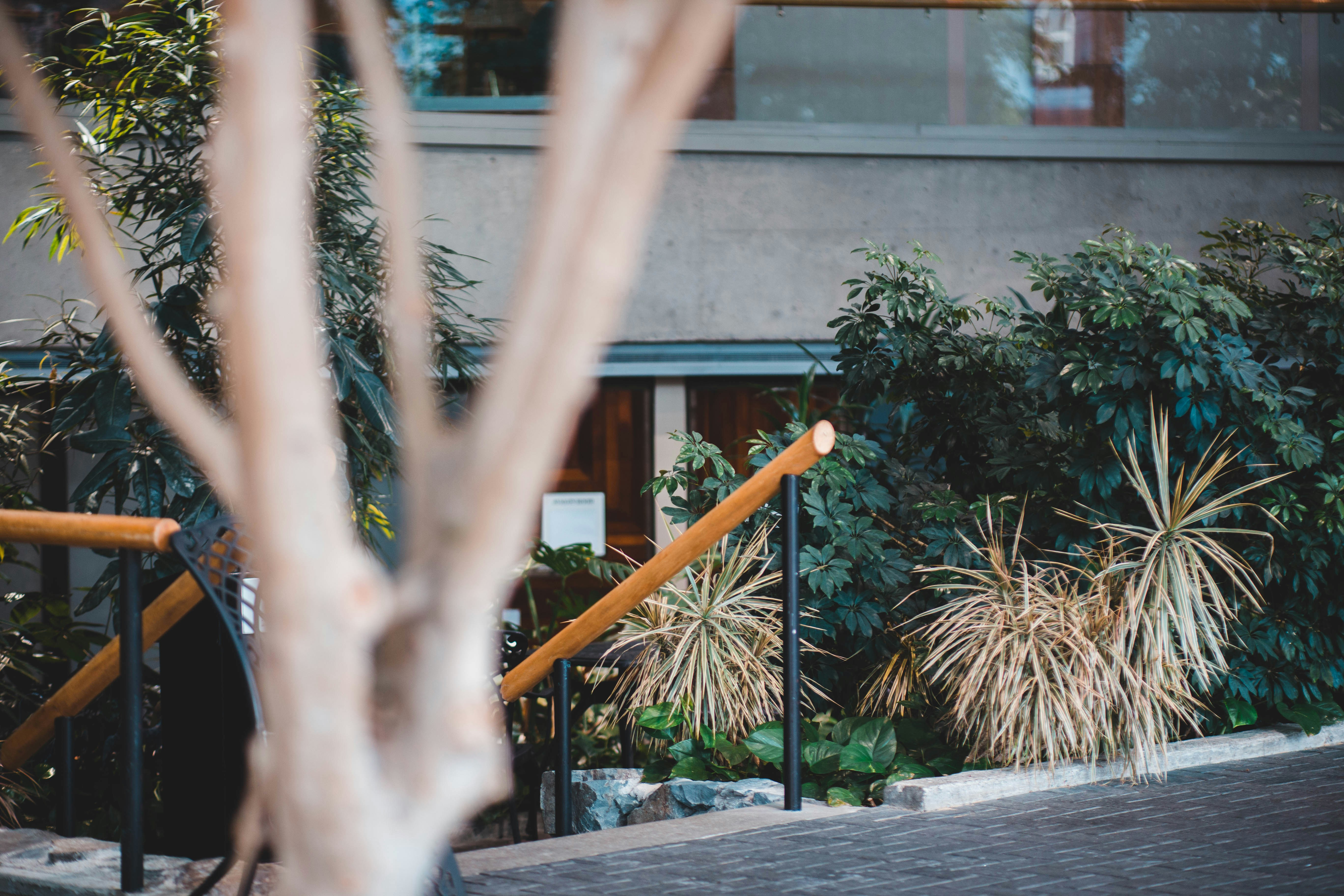 Photo by introspectivedsgn