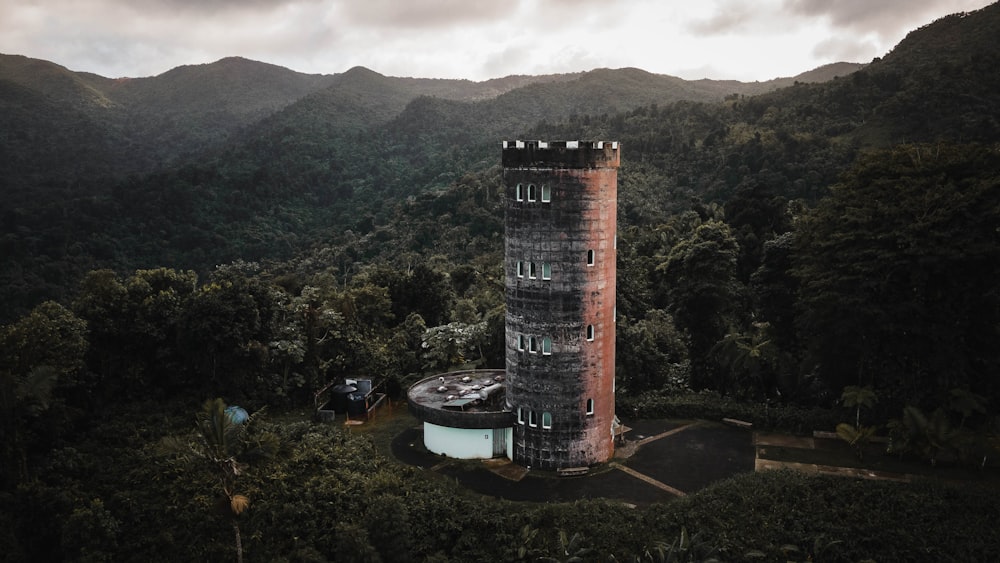 un'alta torre seduta nel mezzo di una foresta