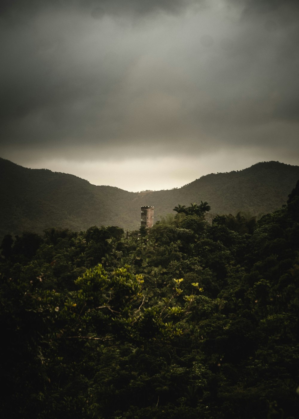a tower in the middle of a forest under a cloudy sky