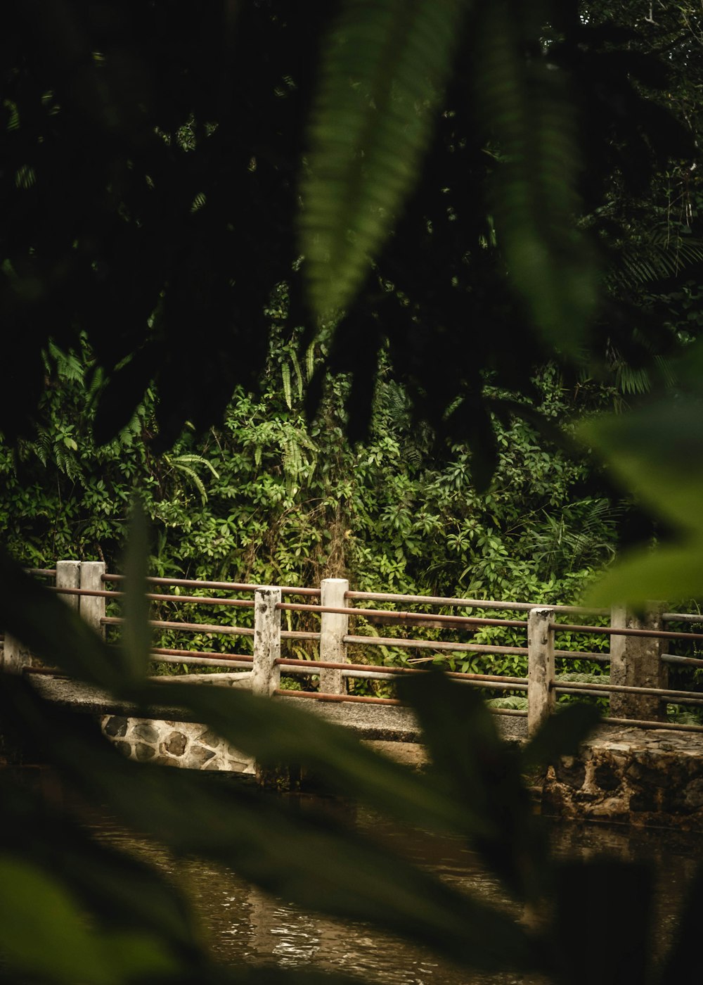 a person walking across a bridge over a river