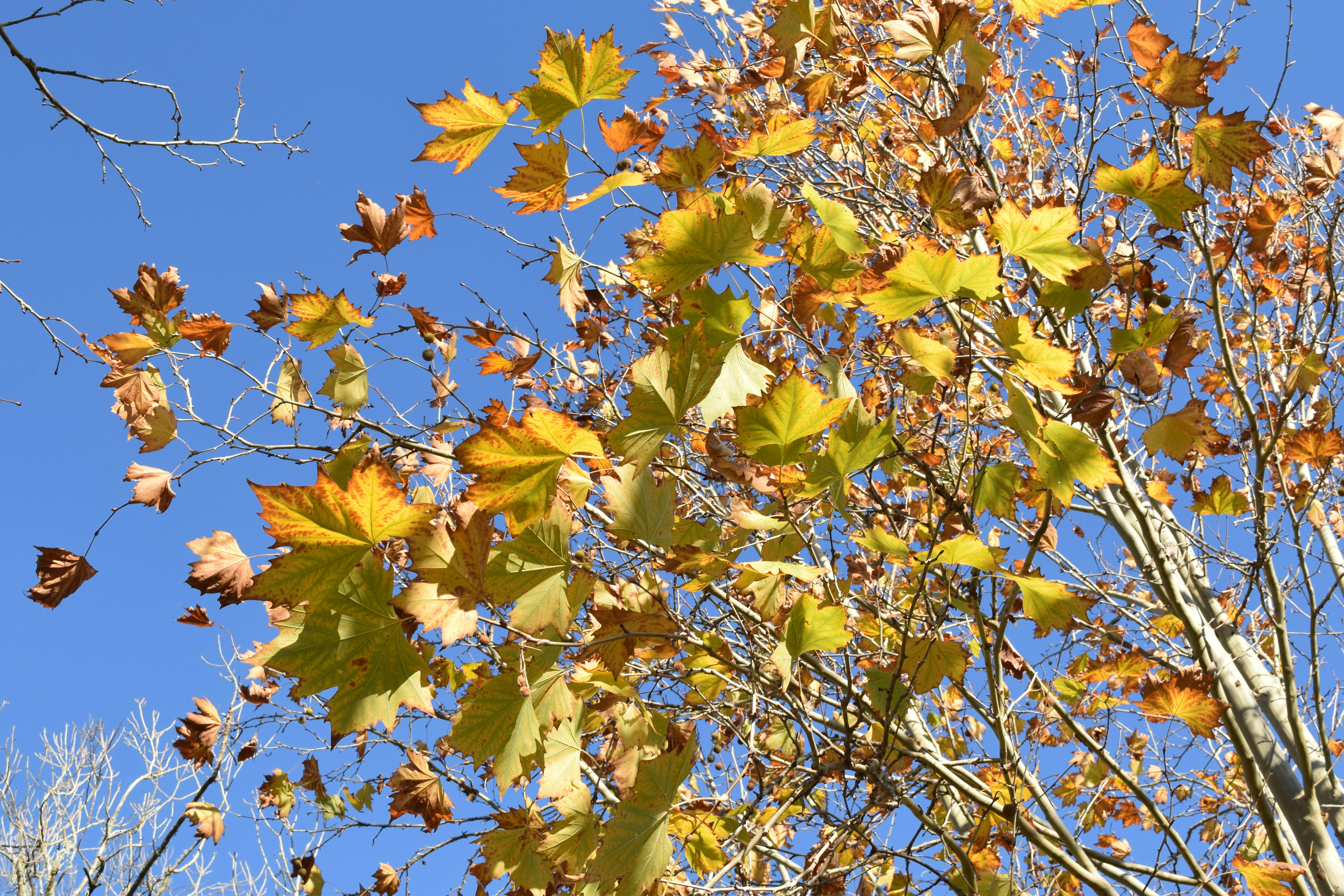 Photo by ch_photography