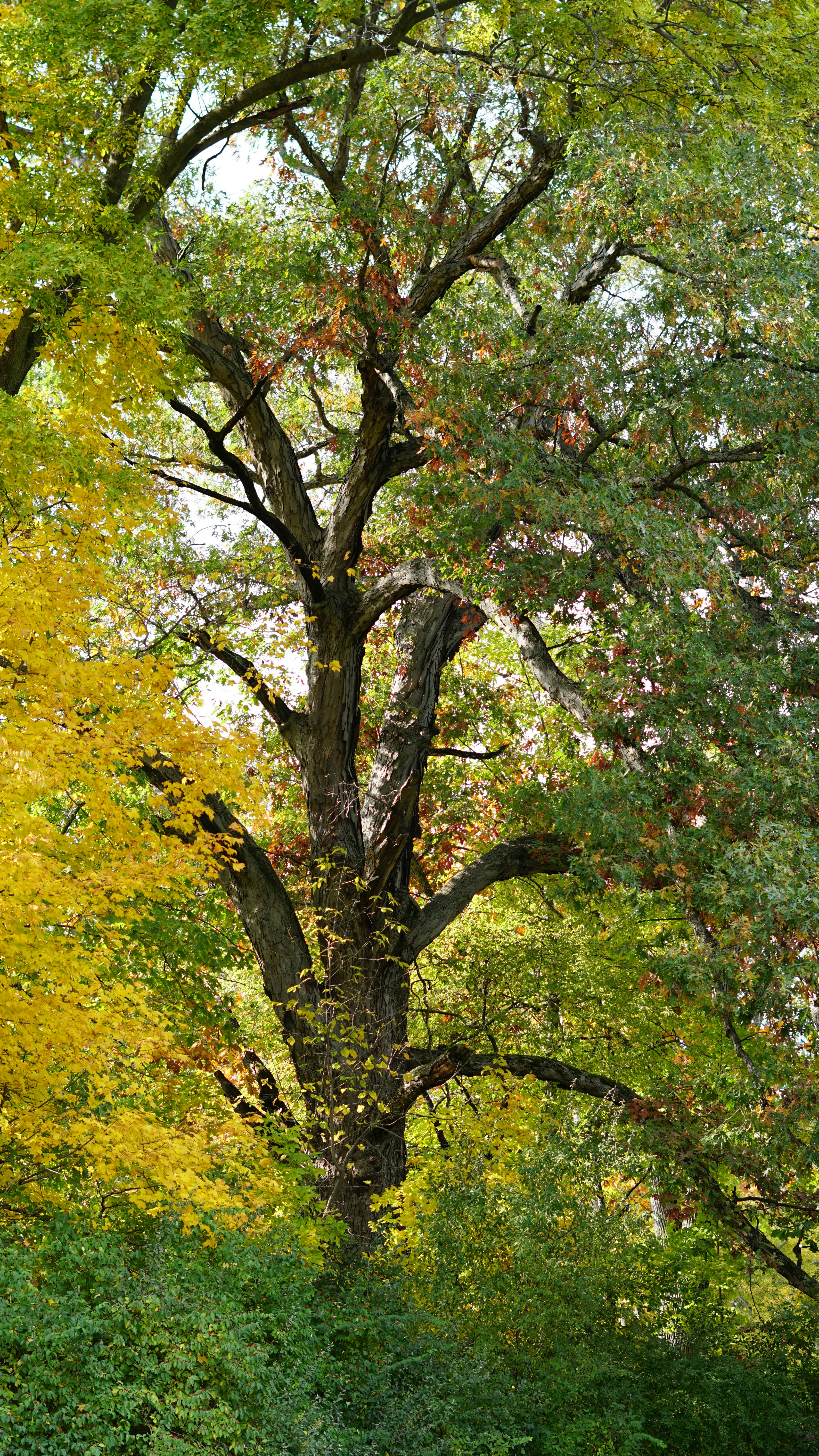 Photo by mrgreatheart