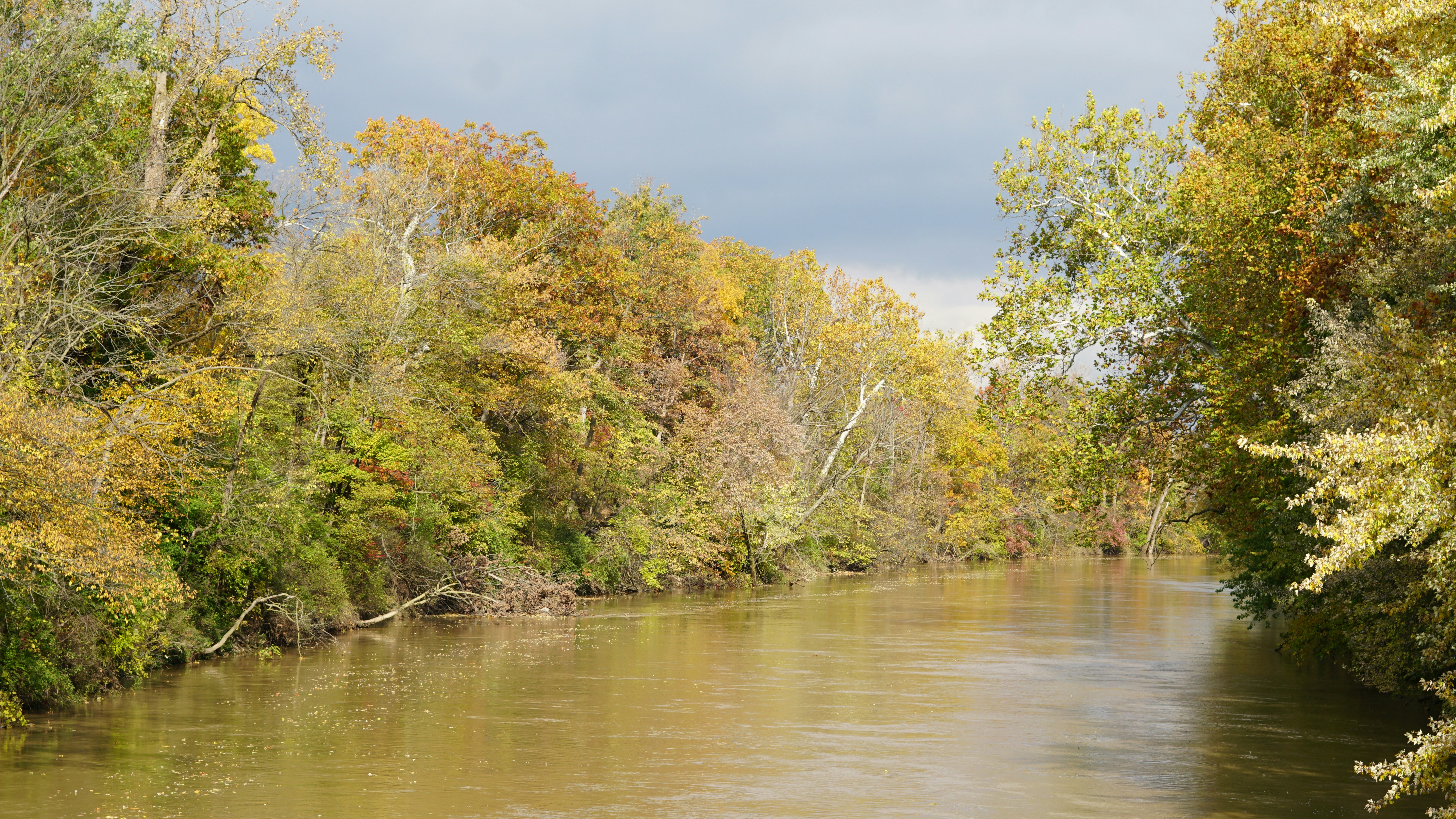 Photo by mrgreatheart