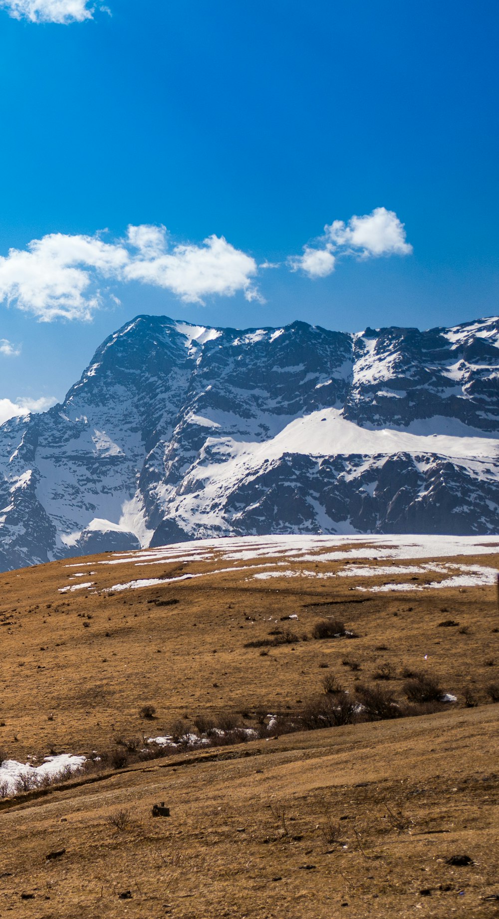 a horse is standing in a field with mountains in the background