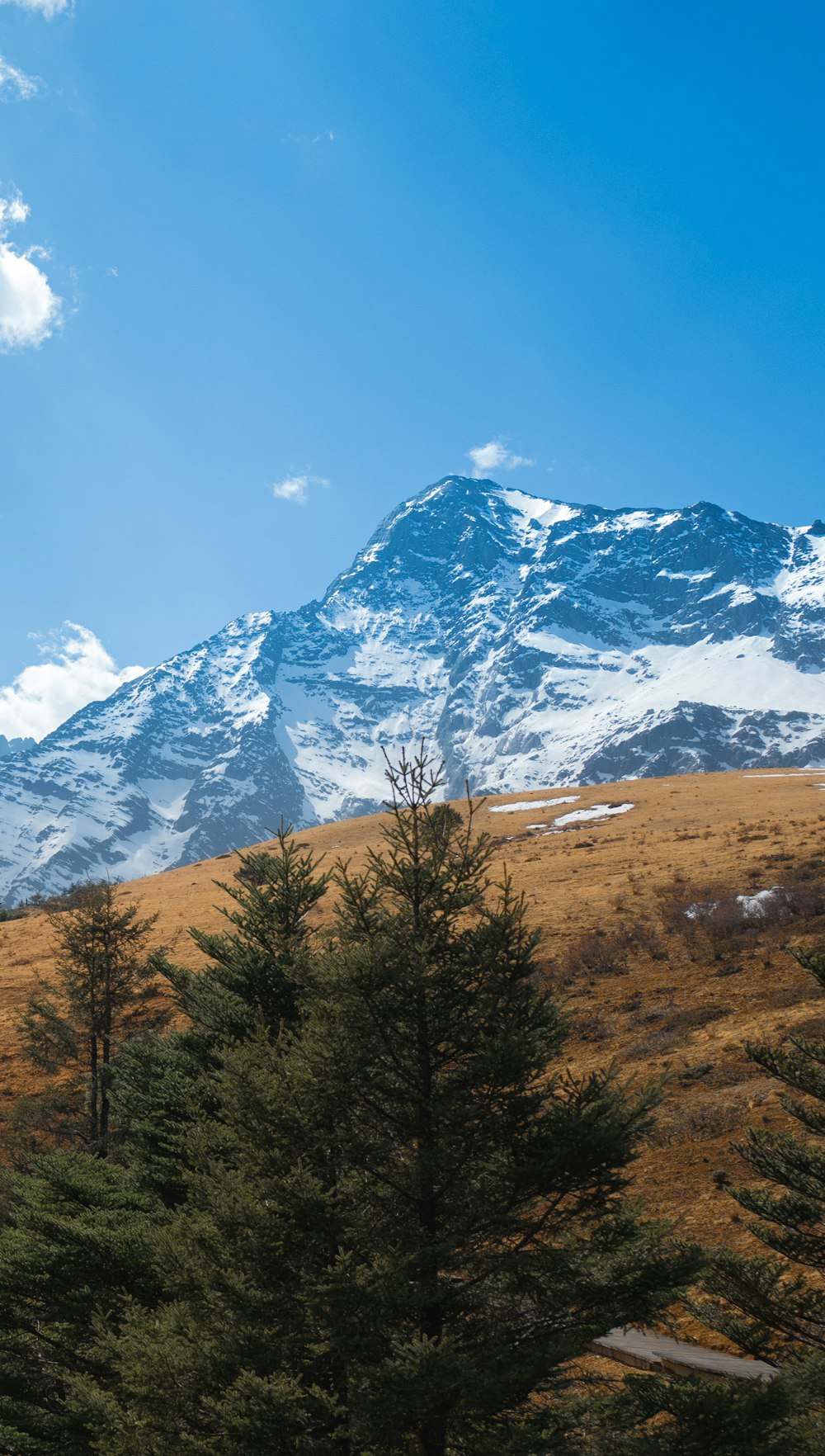 a snow covered mountain with trees in the foreground