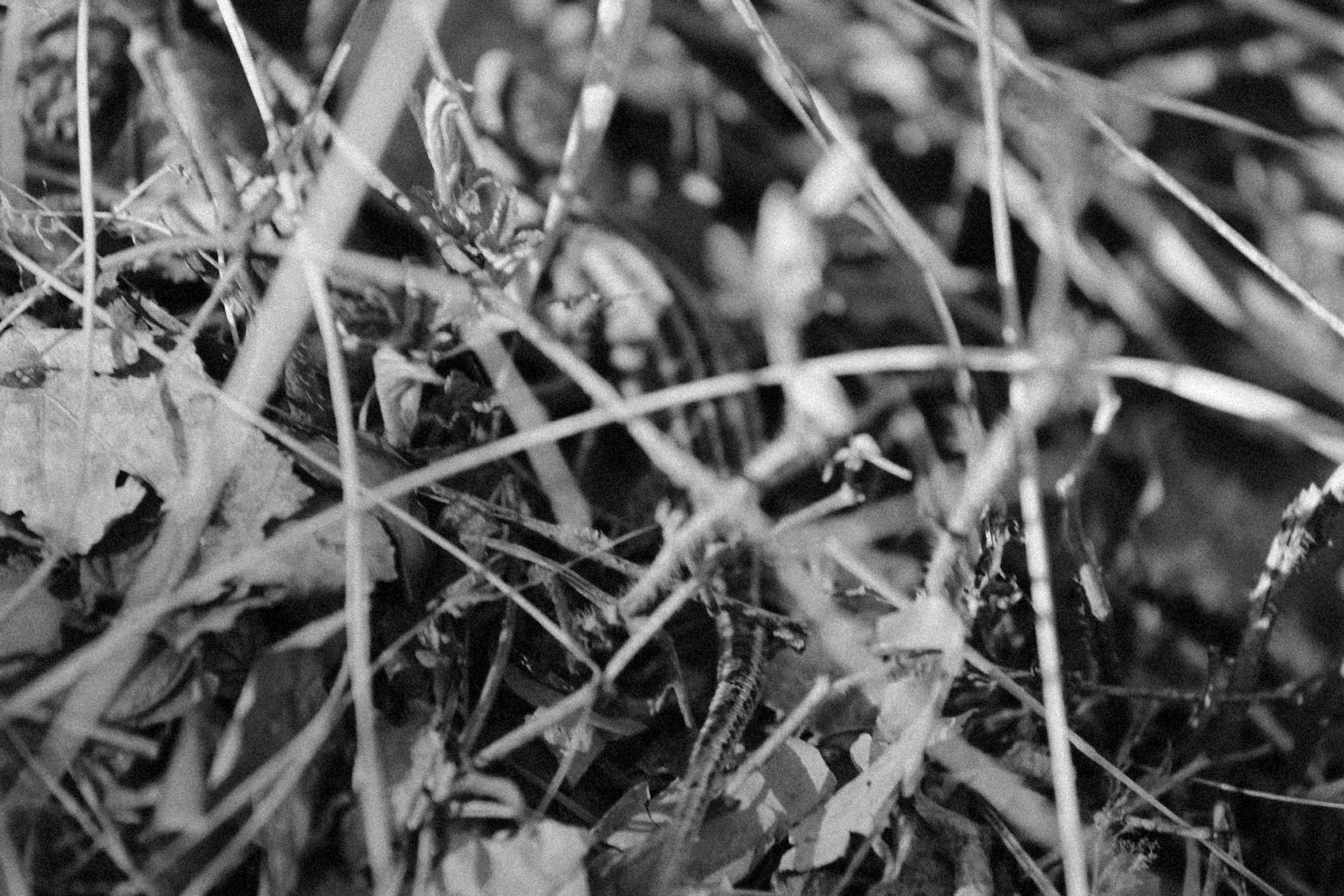 Photo by alexeydemidov