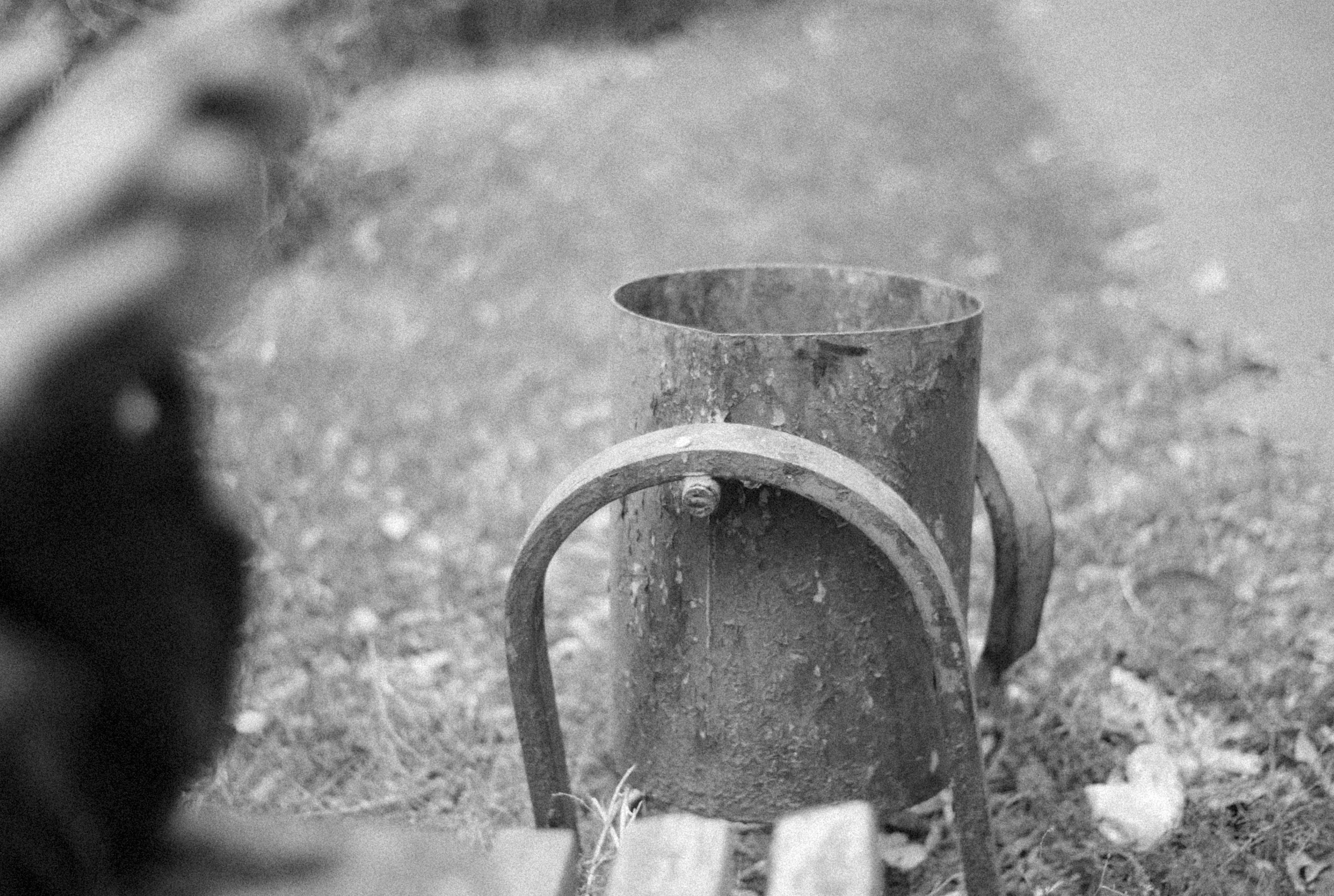 Photo by alexeydemidov