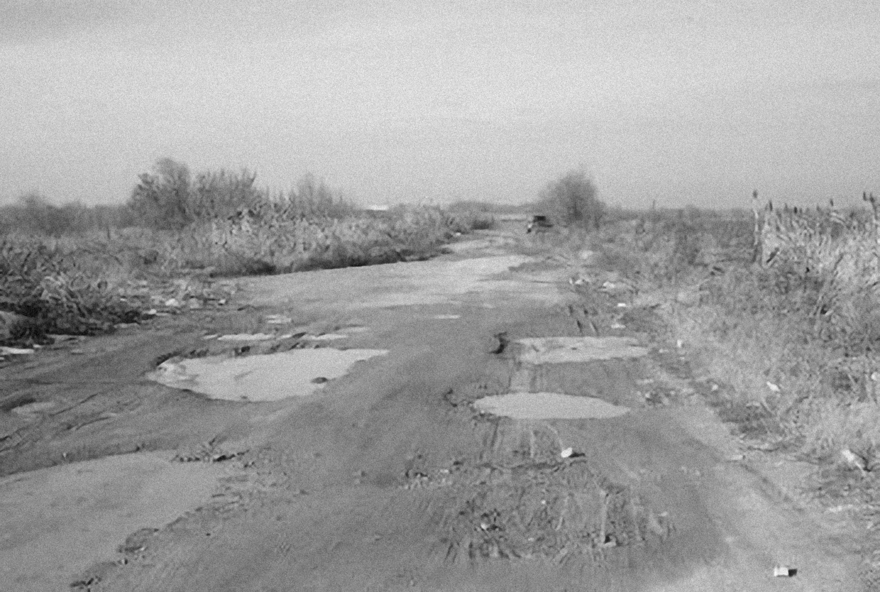 Photo by alexeydemidov