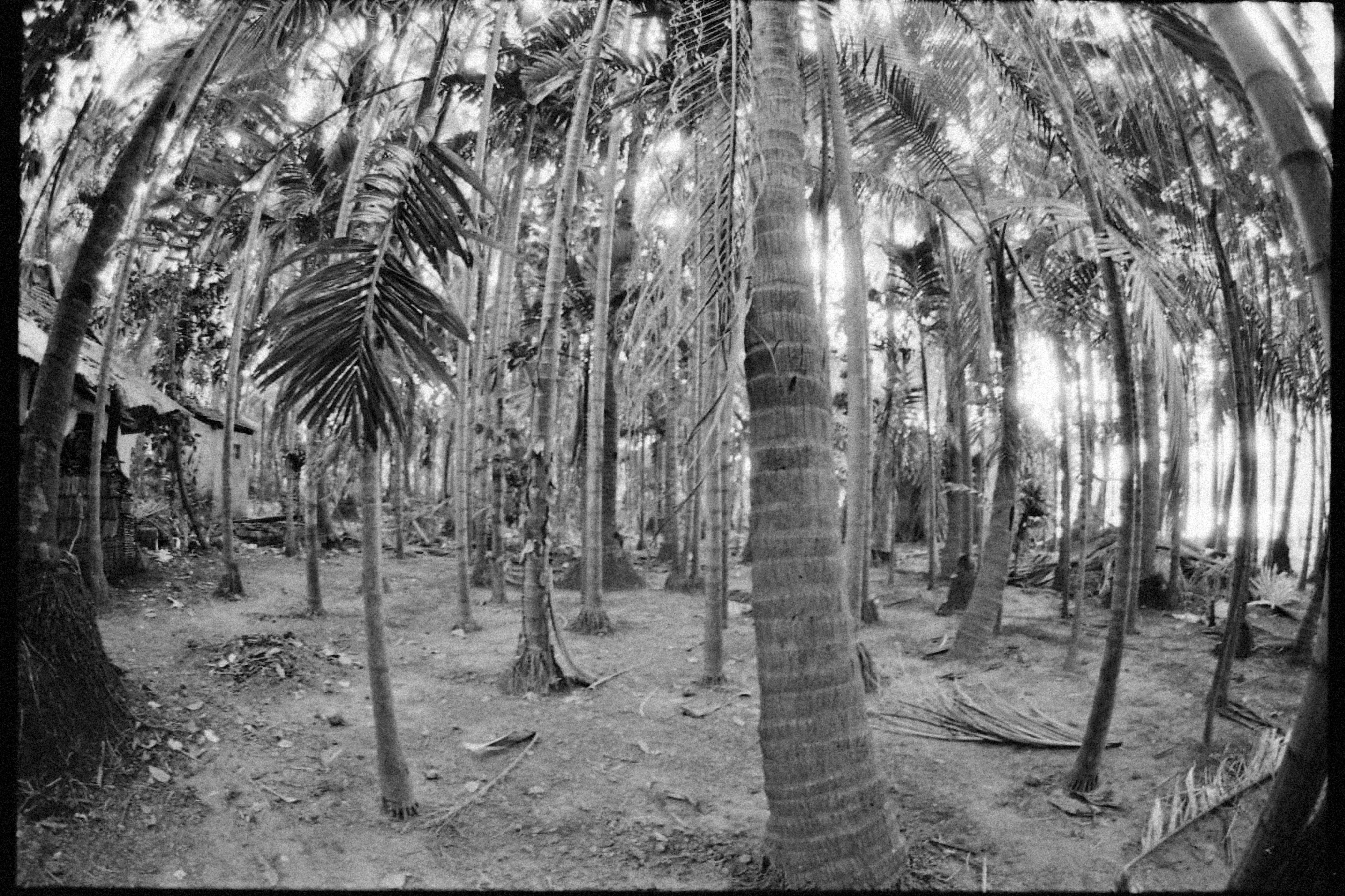 Photo by alexeydemidov