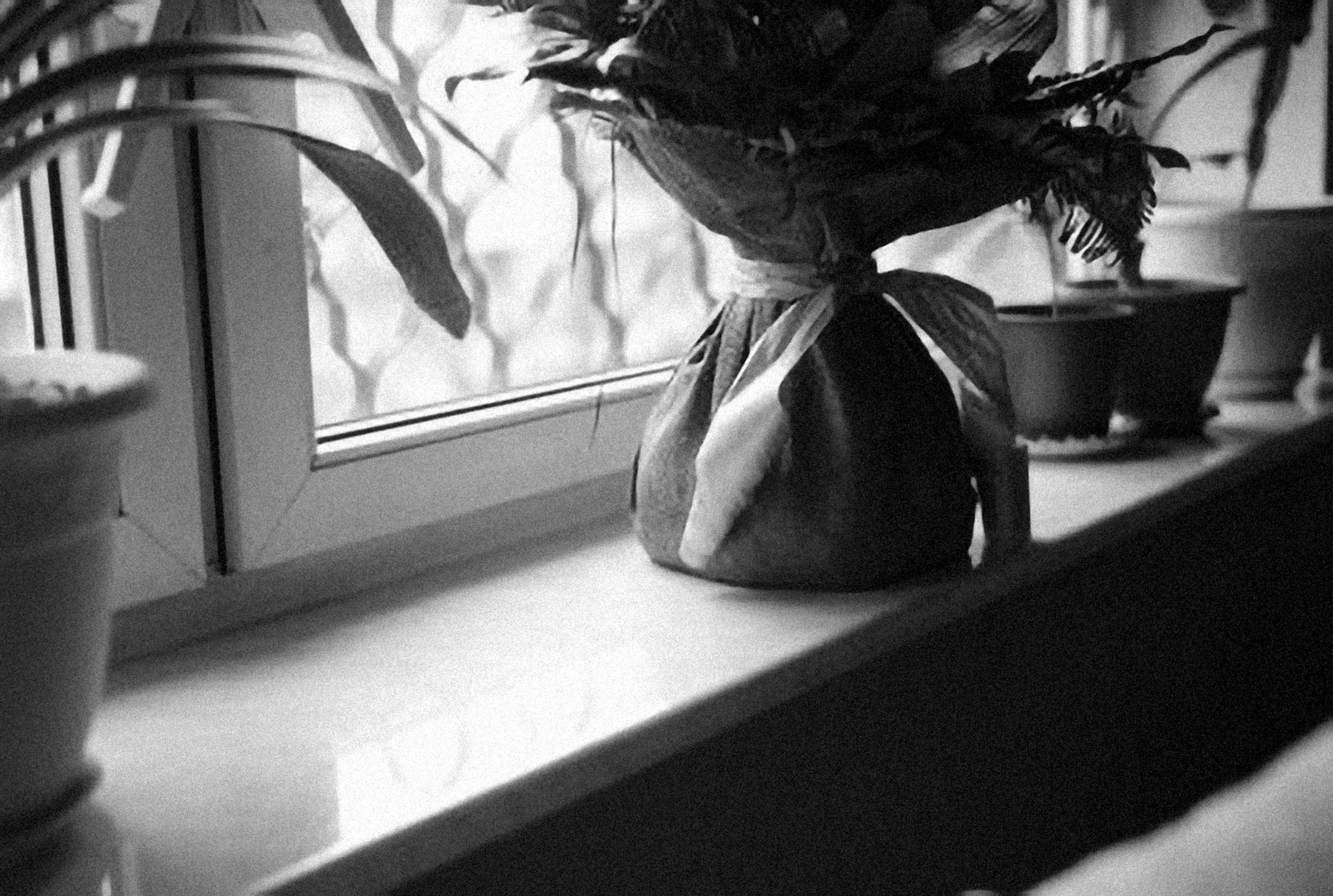 Photo by alexeydemidov