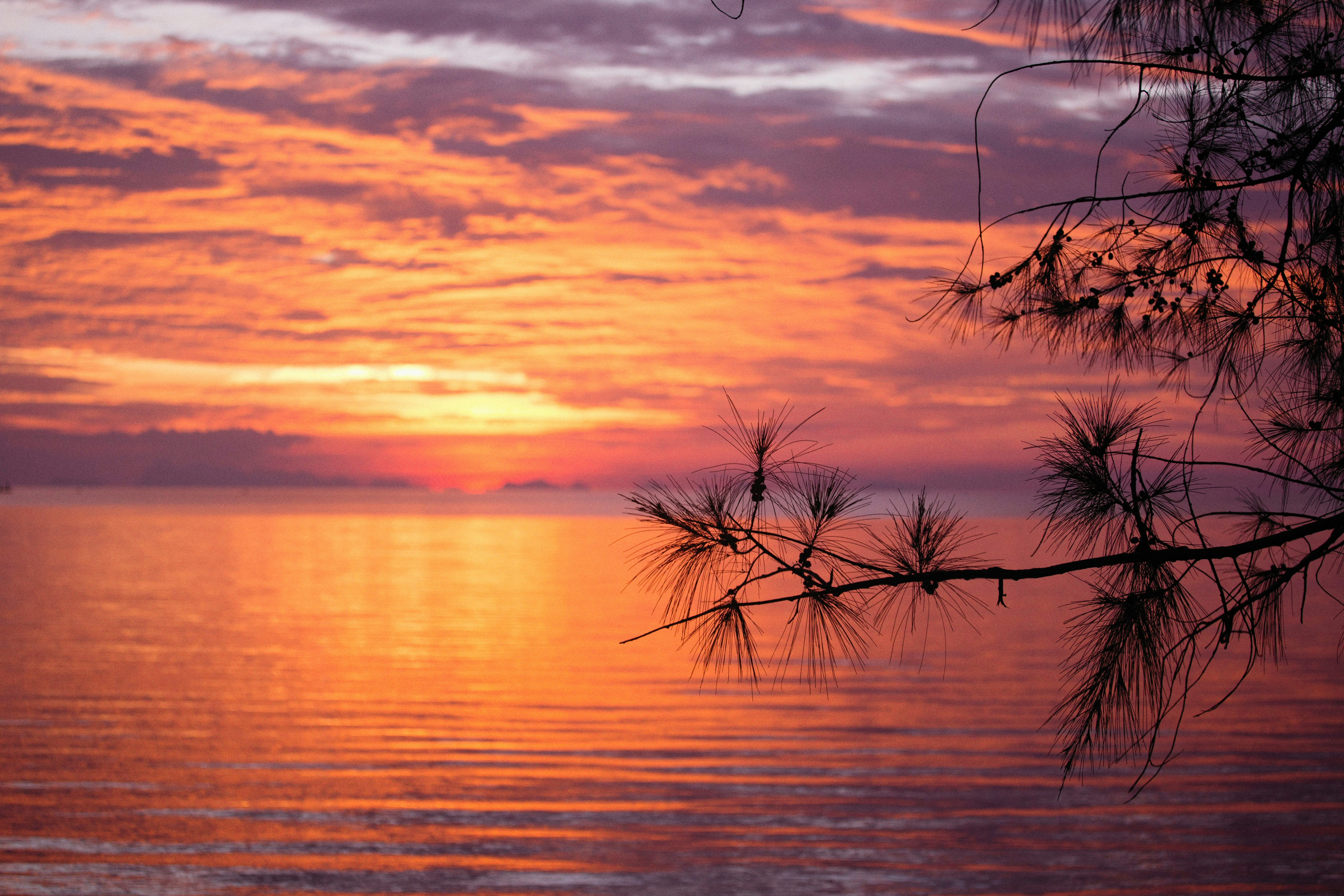 Photo by alexeydemidov