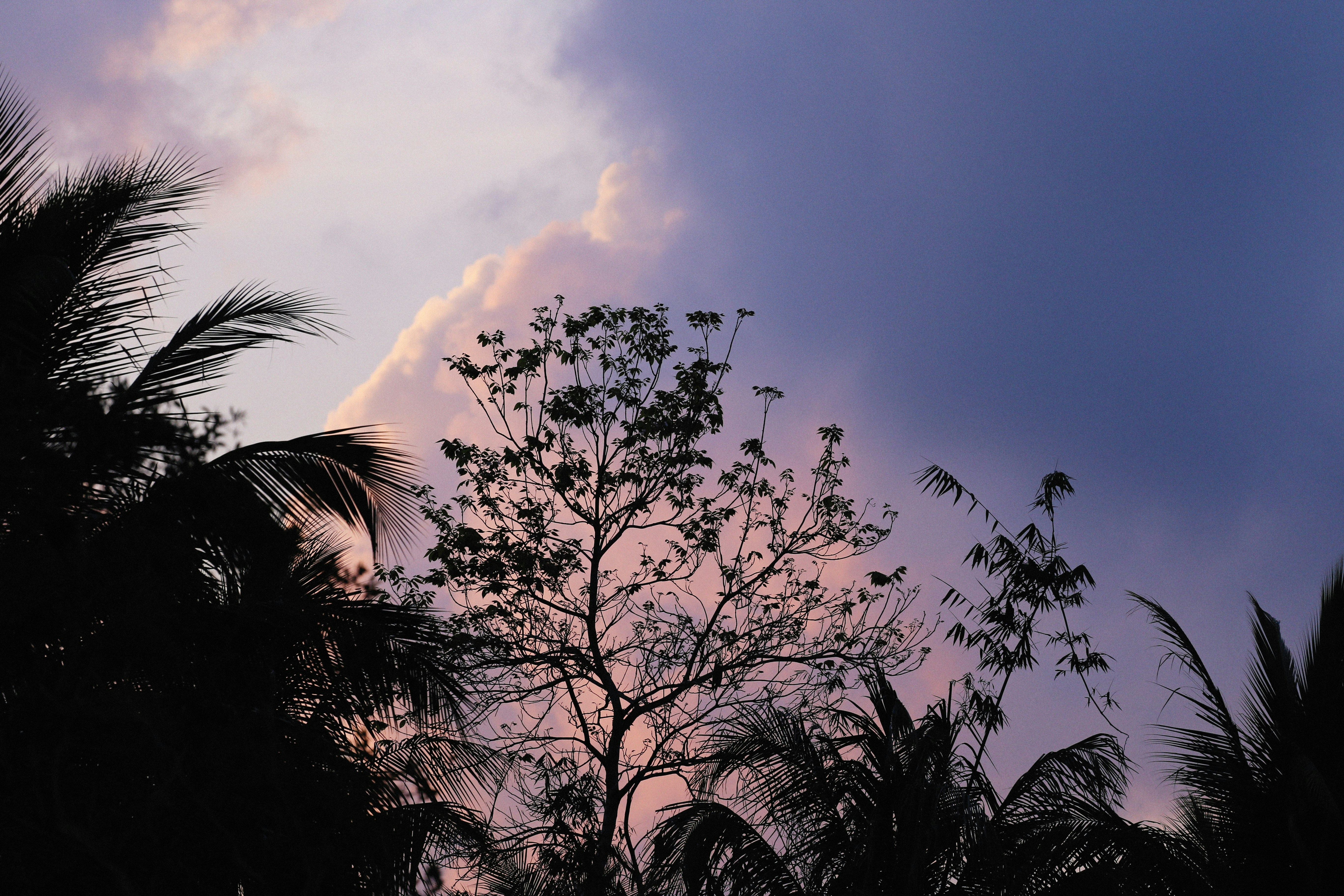 Photo by alexeydemidov