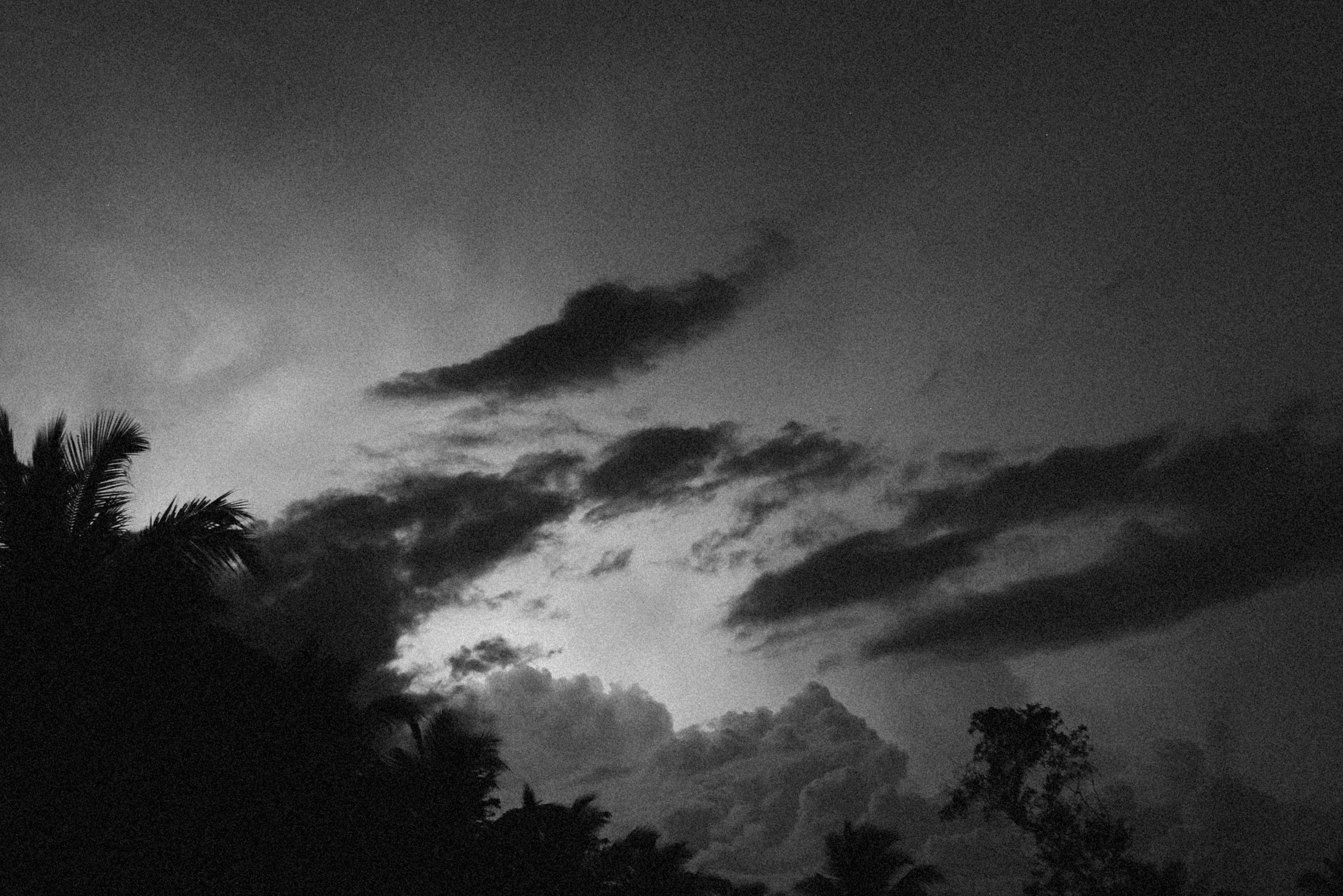 Photo by alexeydemidov