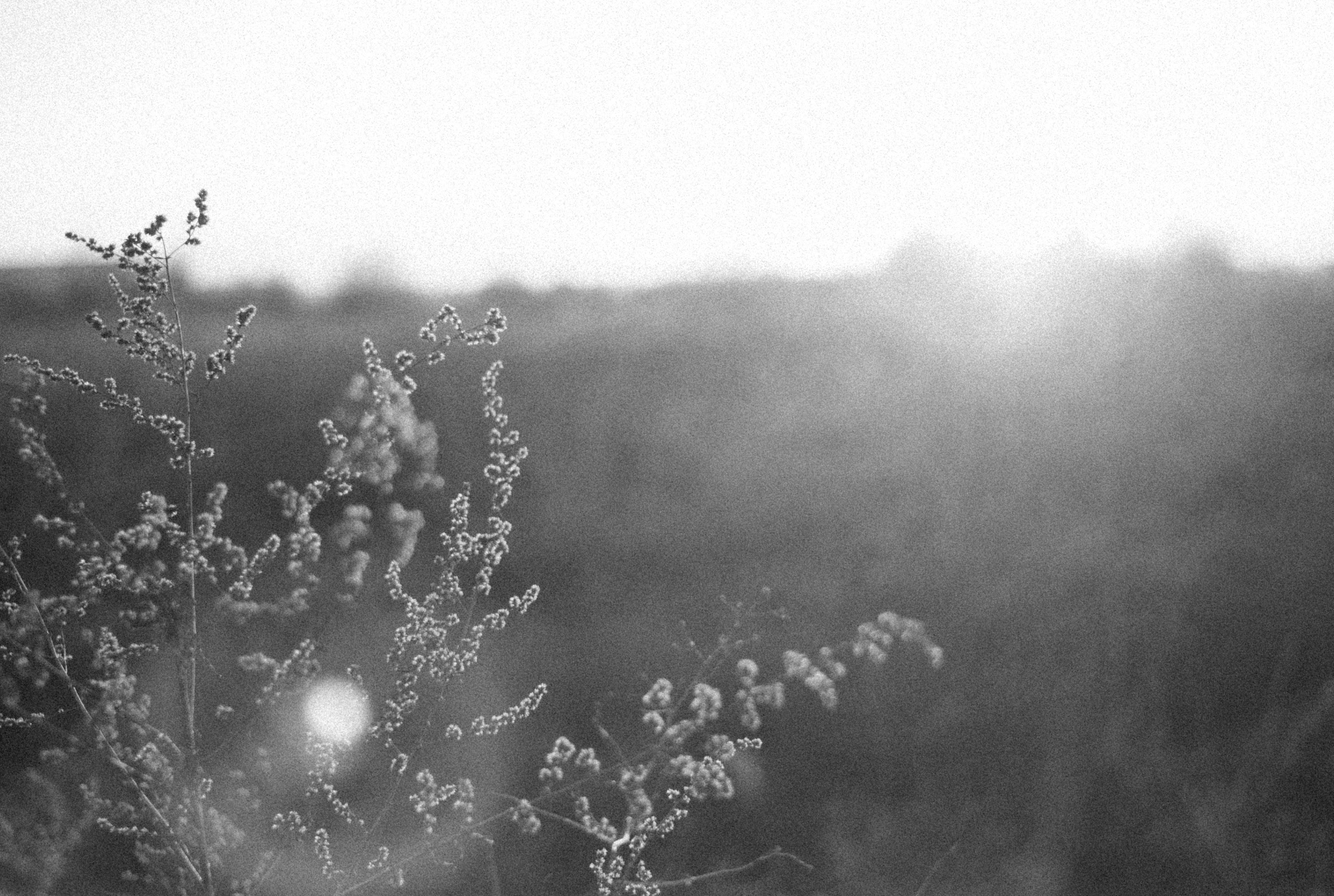 Photo by alexeydemidov