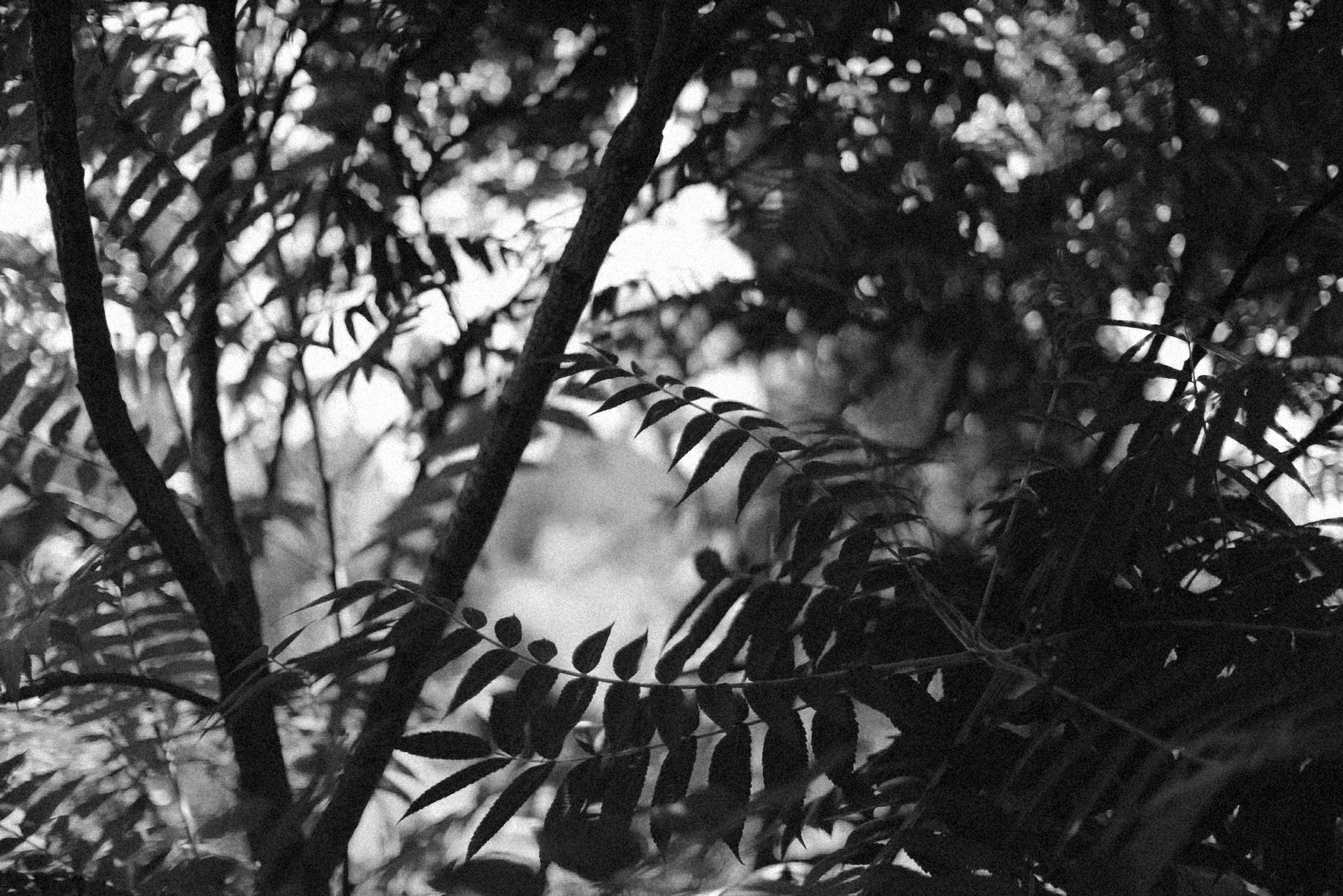 Photo by alexeydemidov