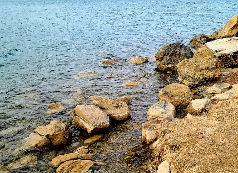 a body of water surrounded by rocks and grass