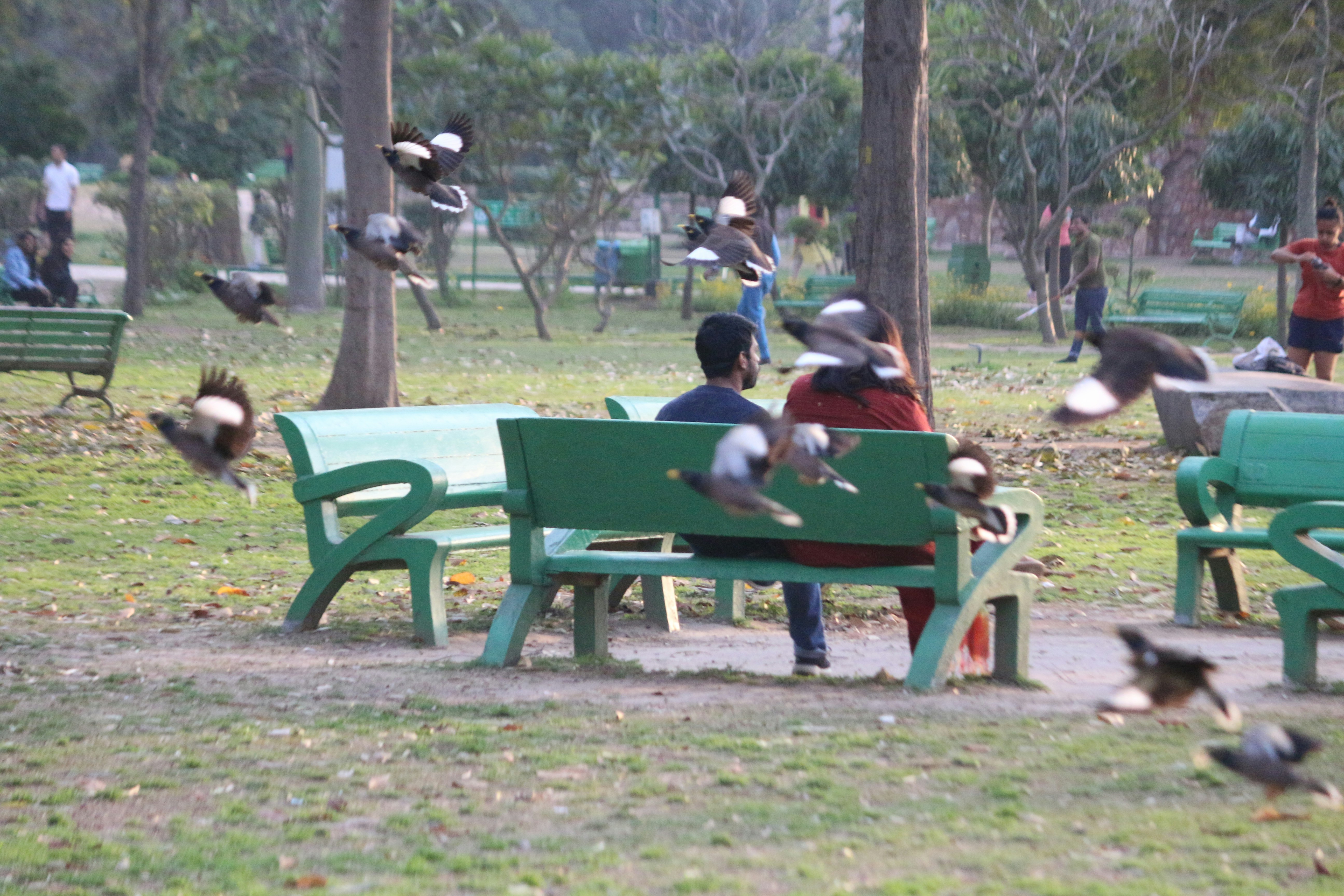 AIIMS Quadrangle