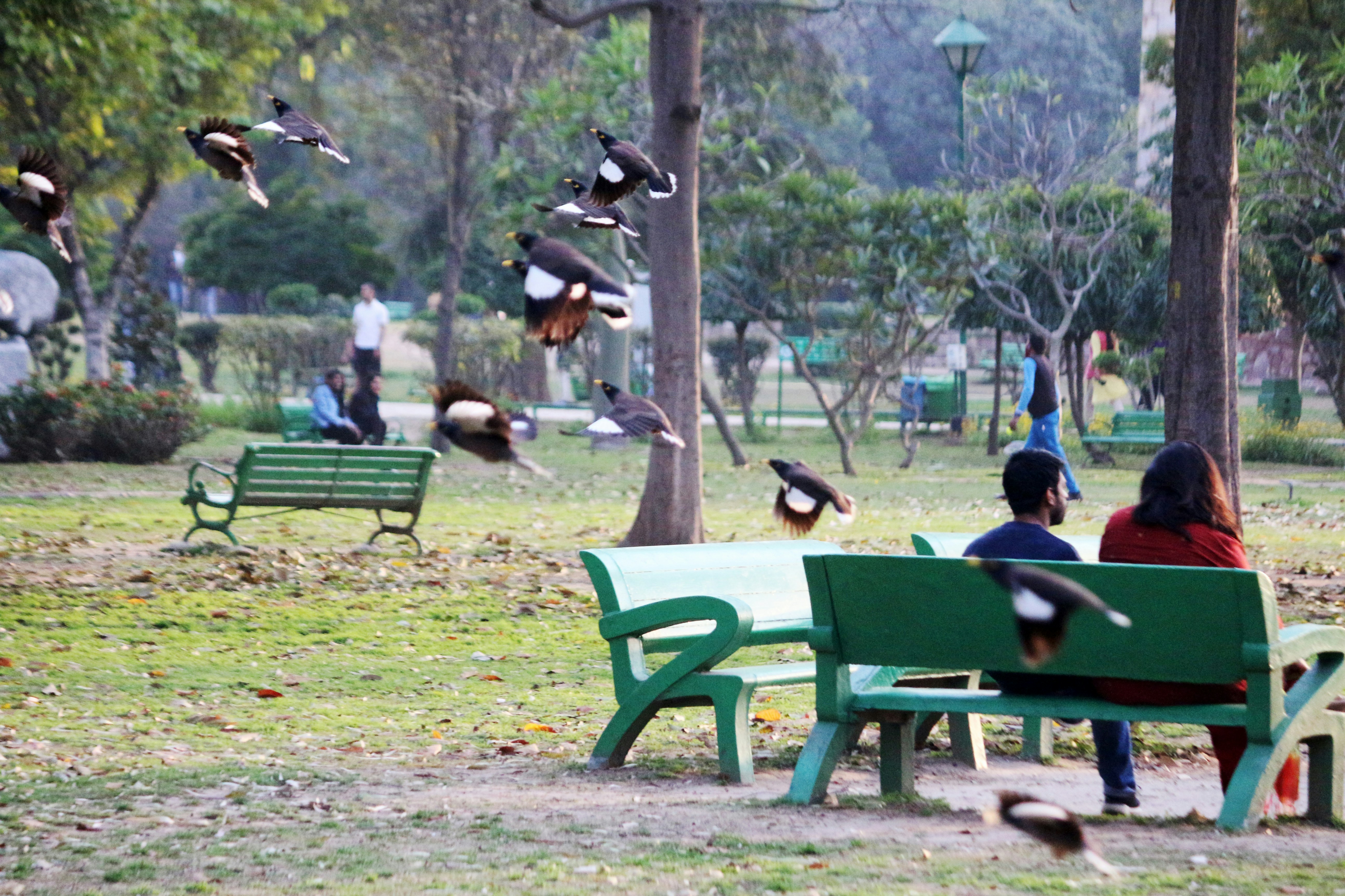 Vashishta Park