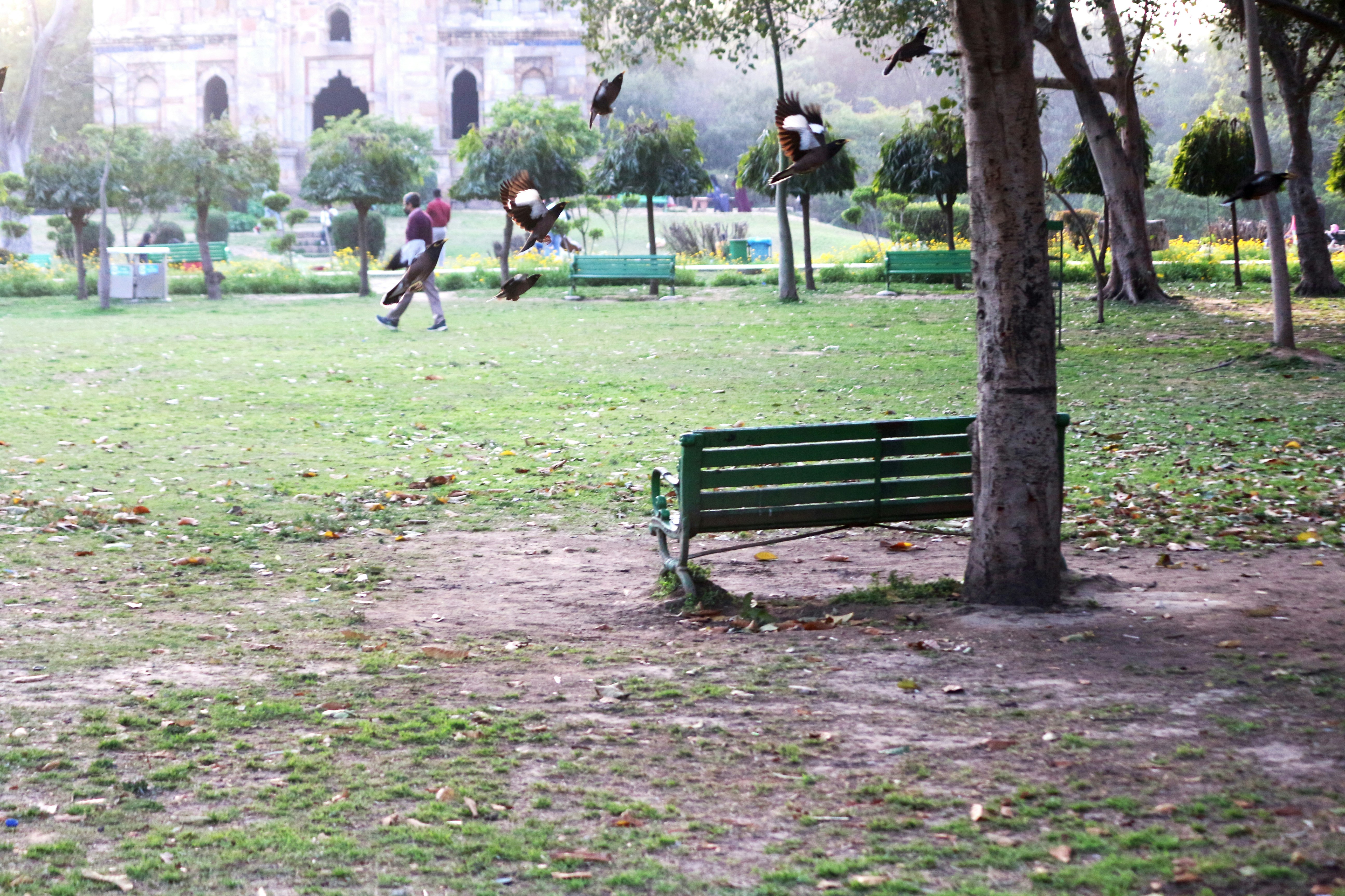 A green park bench in the middle of a park