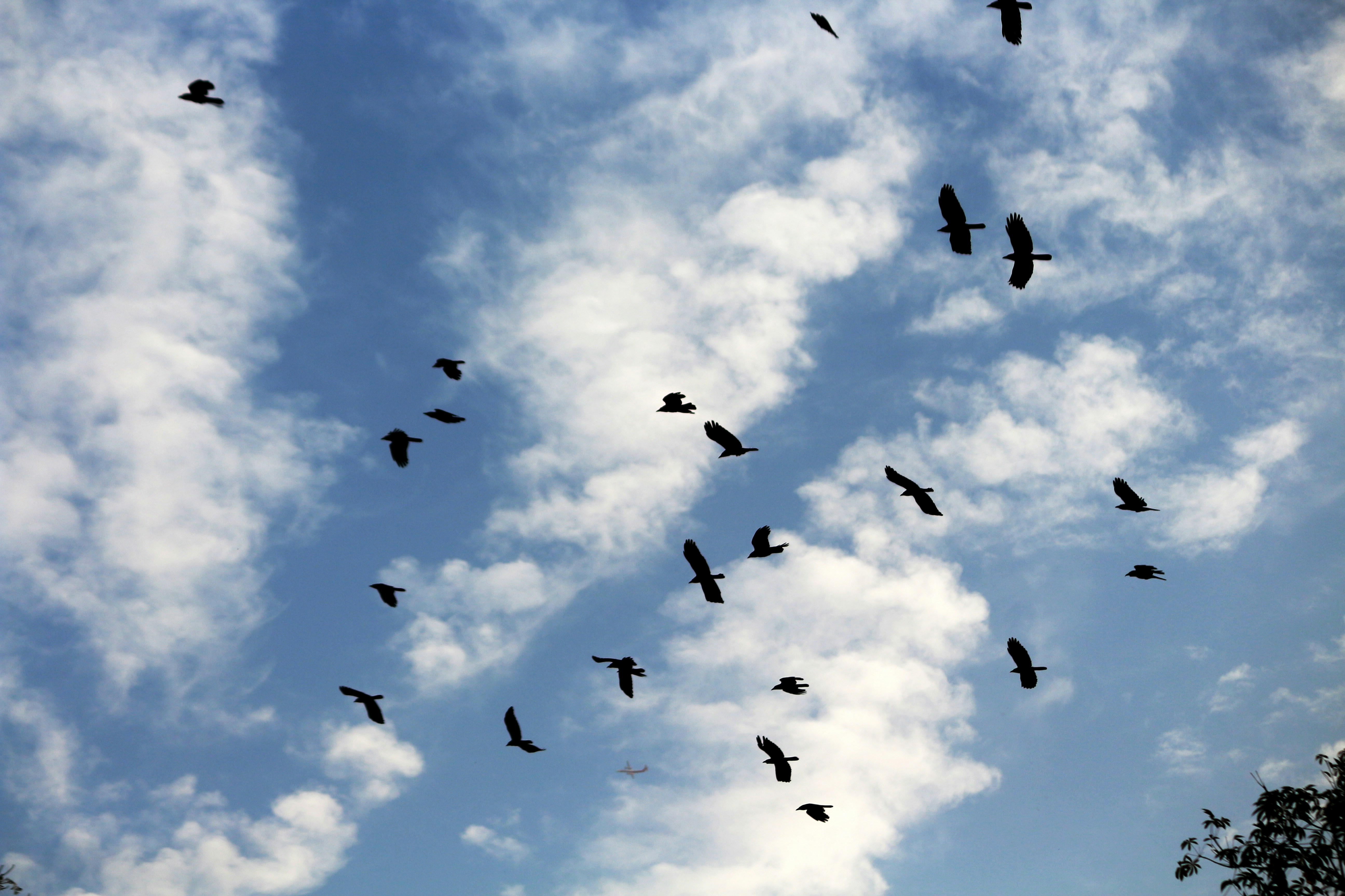 Photo by imagewaladevil_01