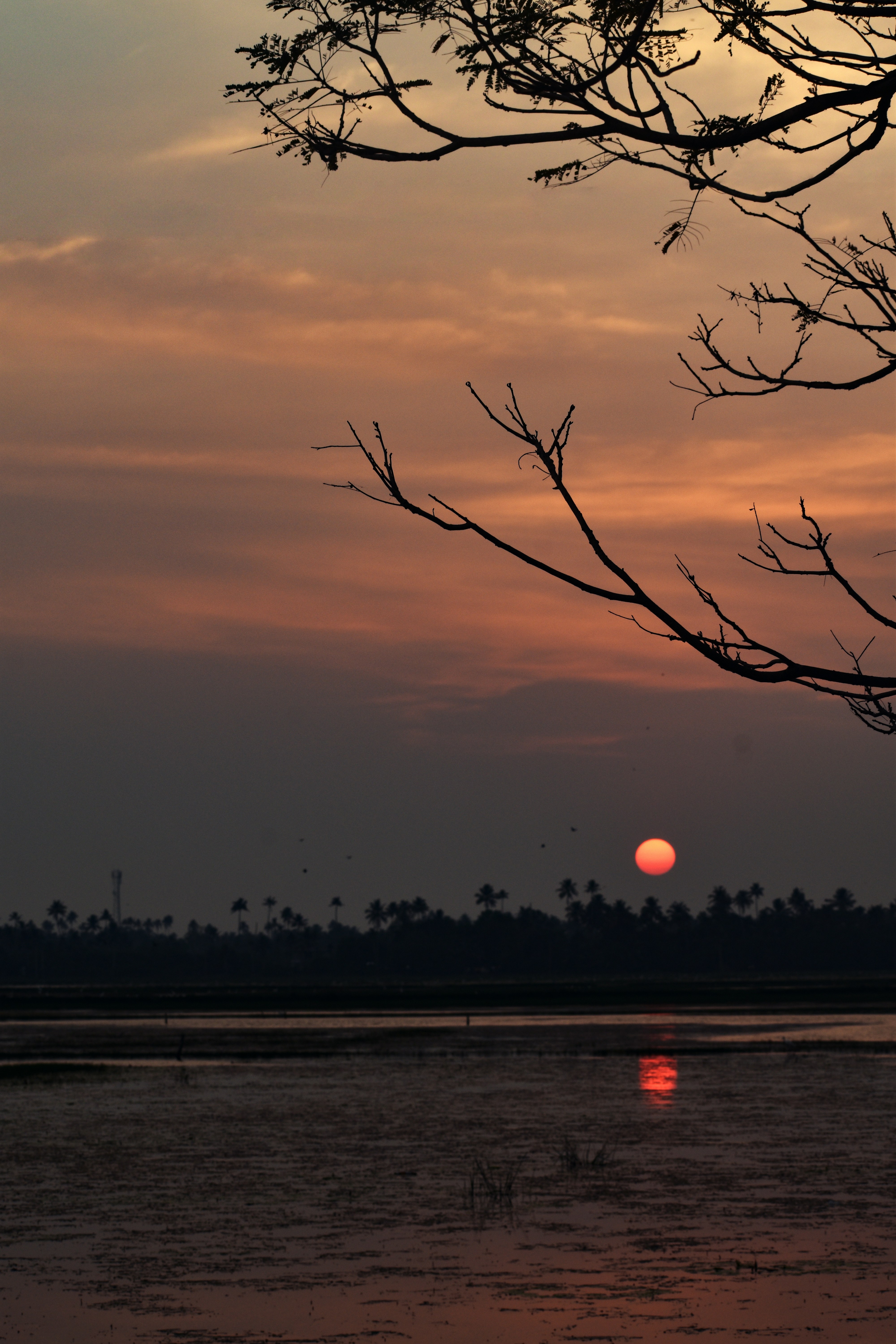 Photo by rajeshrajx8