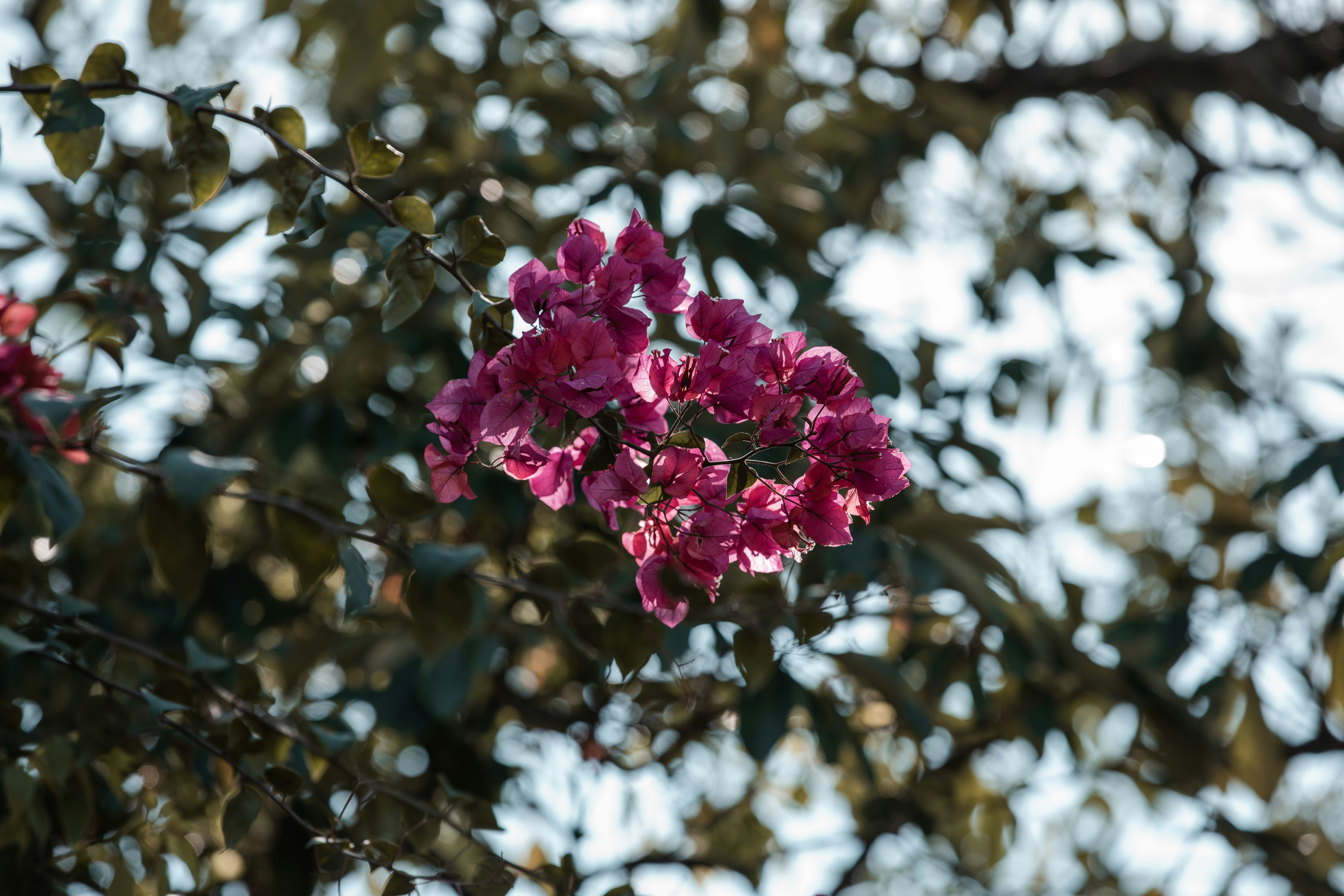 Photo by color0911