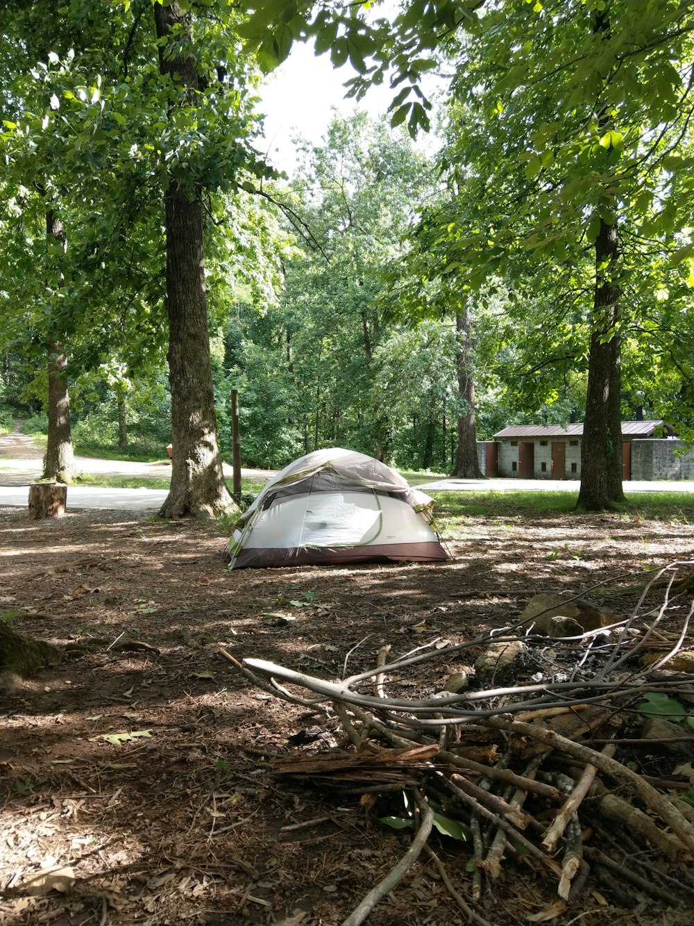 a tent in the middle of a wooded area