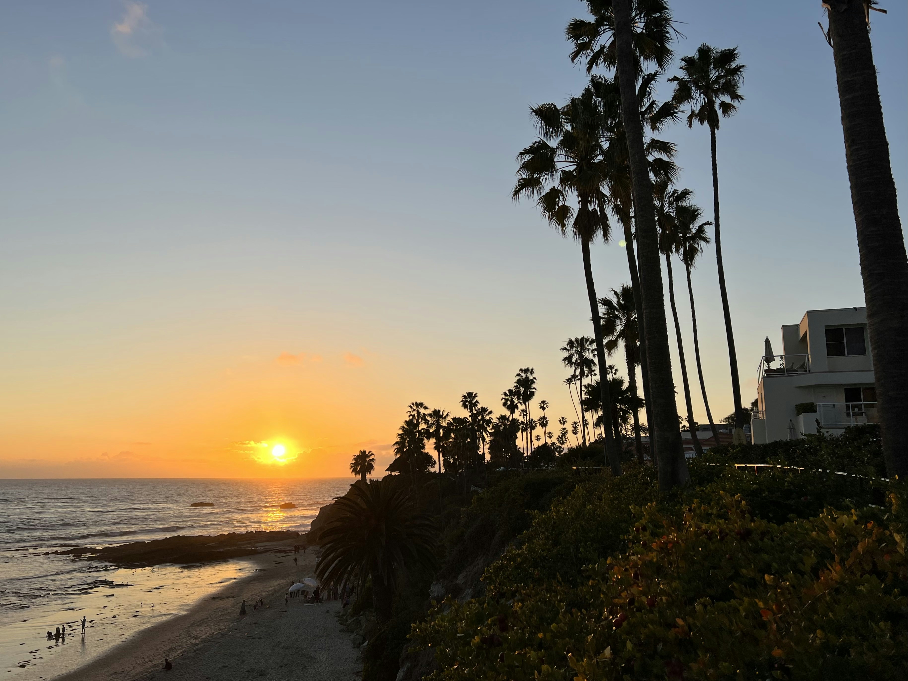 a beach with palm trees and a sunset in the background