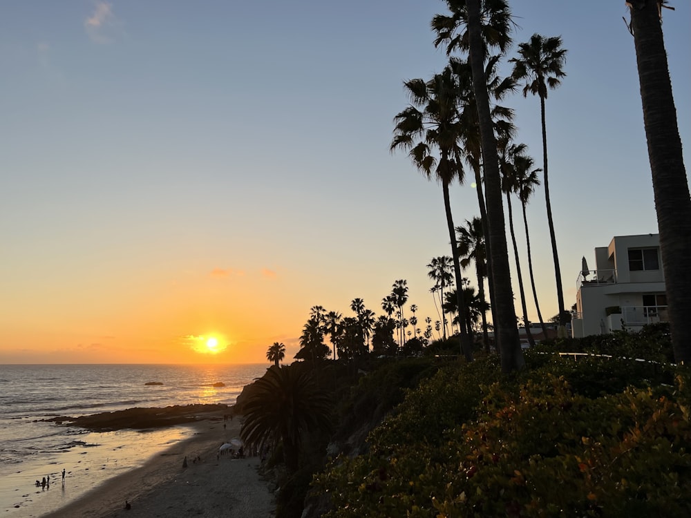 a beach with palm trees and a sunset in the background