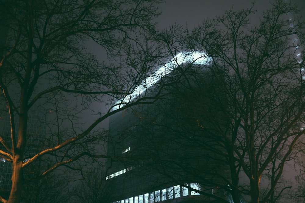 a very tall building surrounded by trees at night