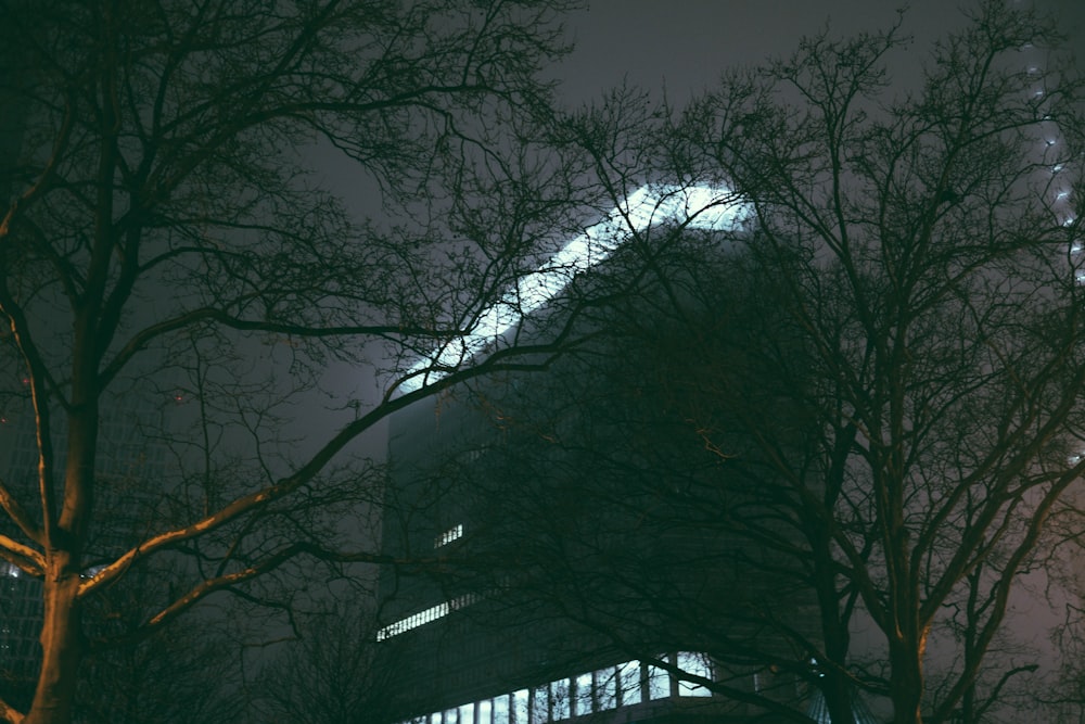 Un edificio muy alto rodeado de árboles por la noche
