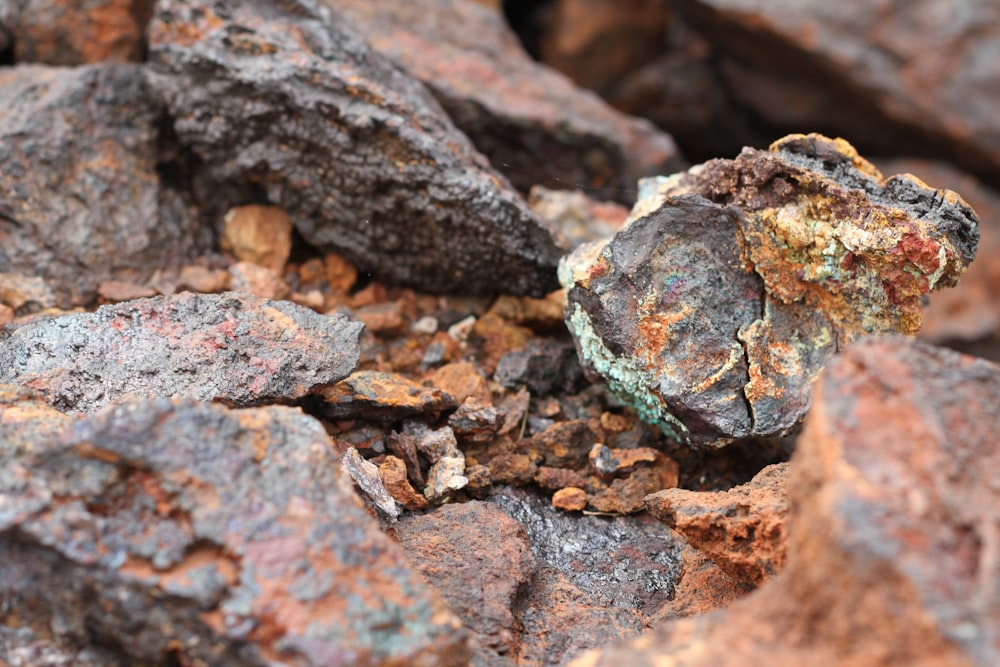 a close up of a rock with lichen on it