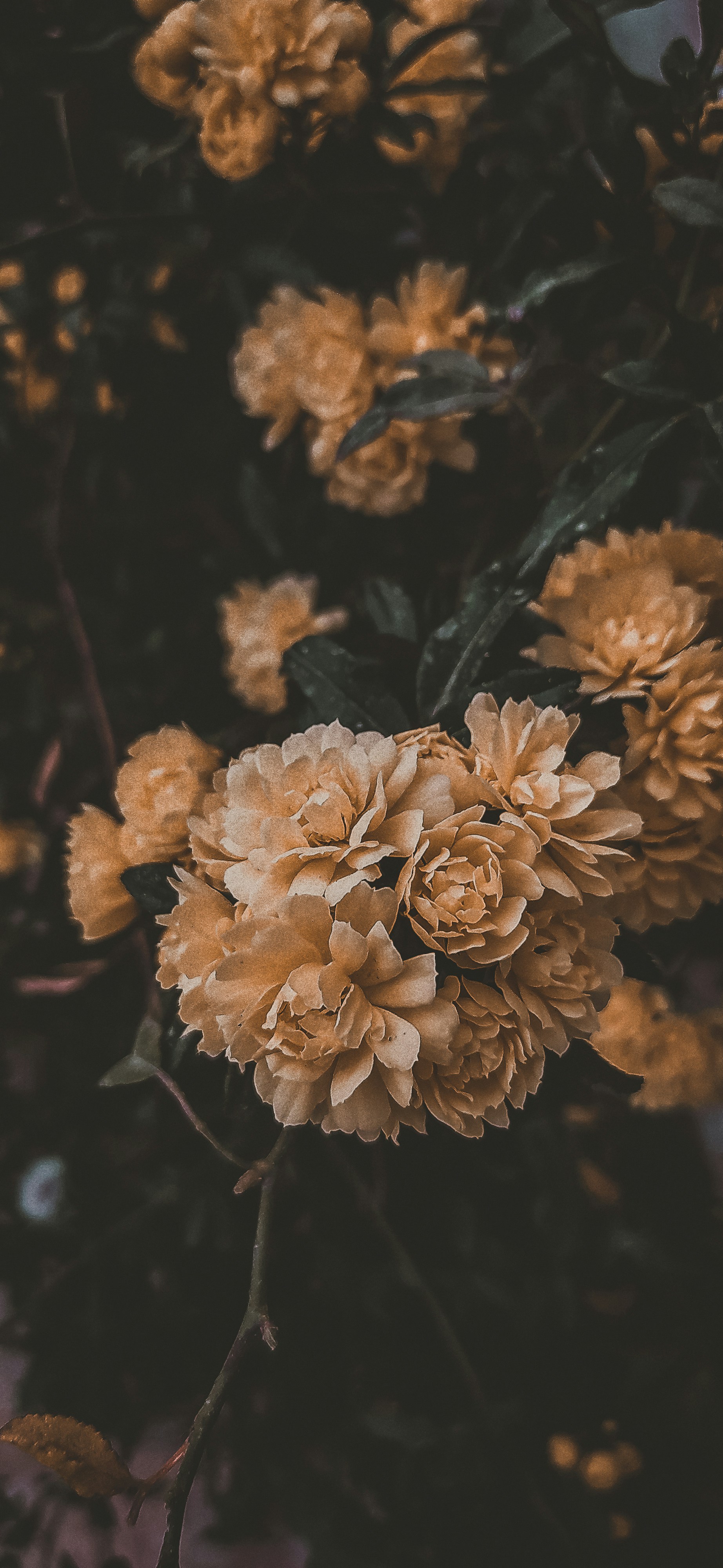 Photo by samanehrasoulzadeh