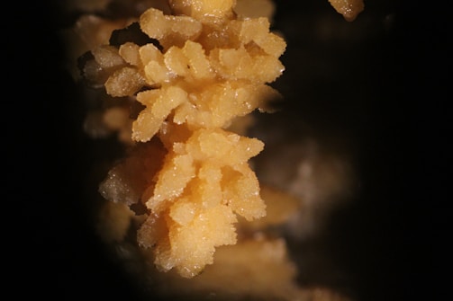 a close up of a bunch of food on a table