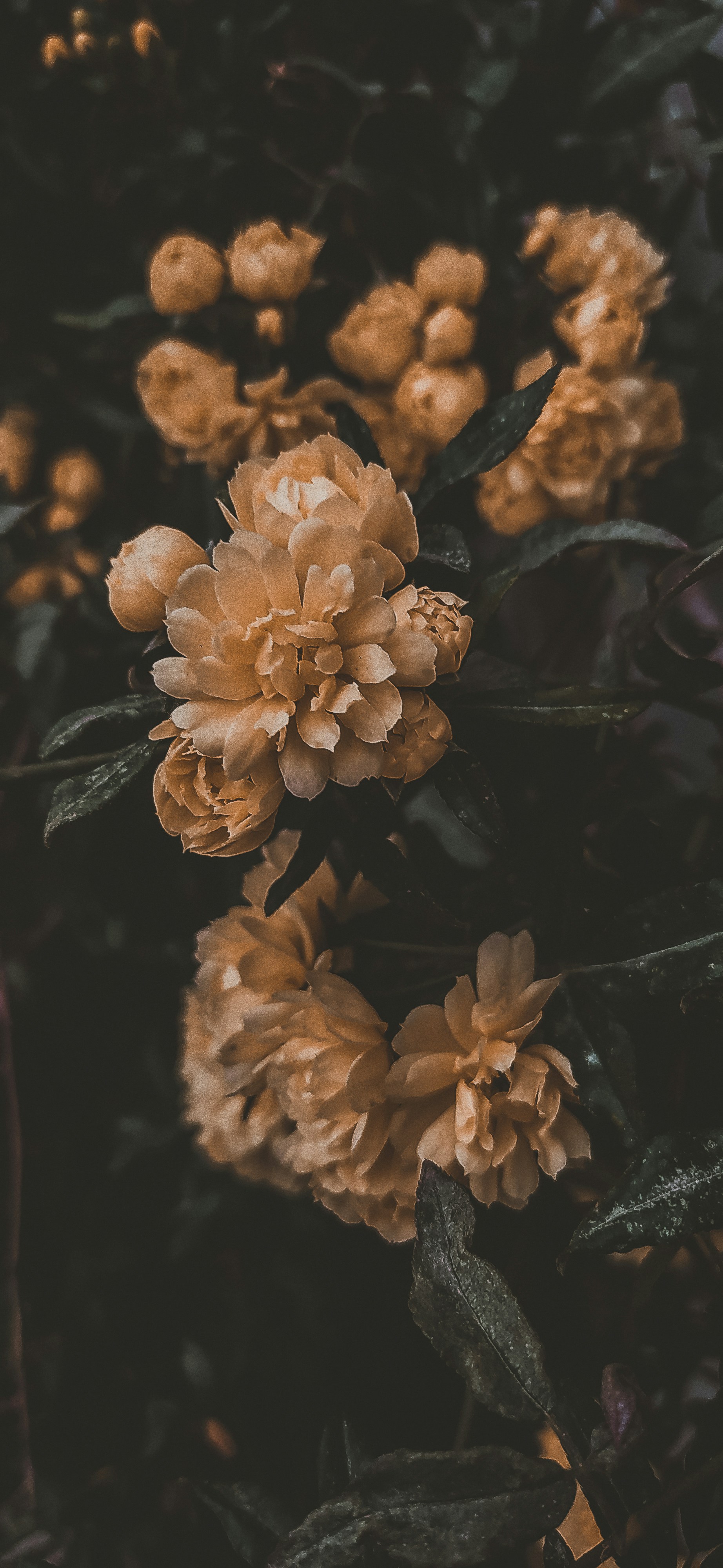 Photo by samanehrasoulzadeh