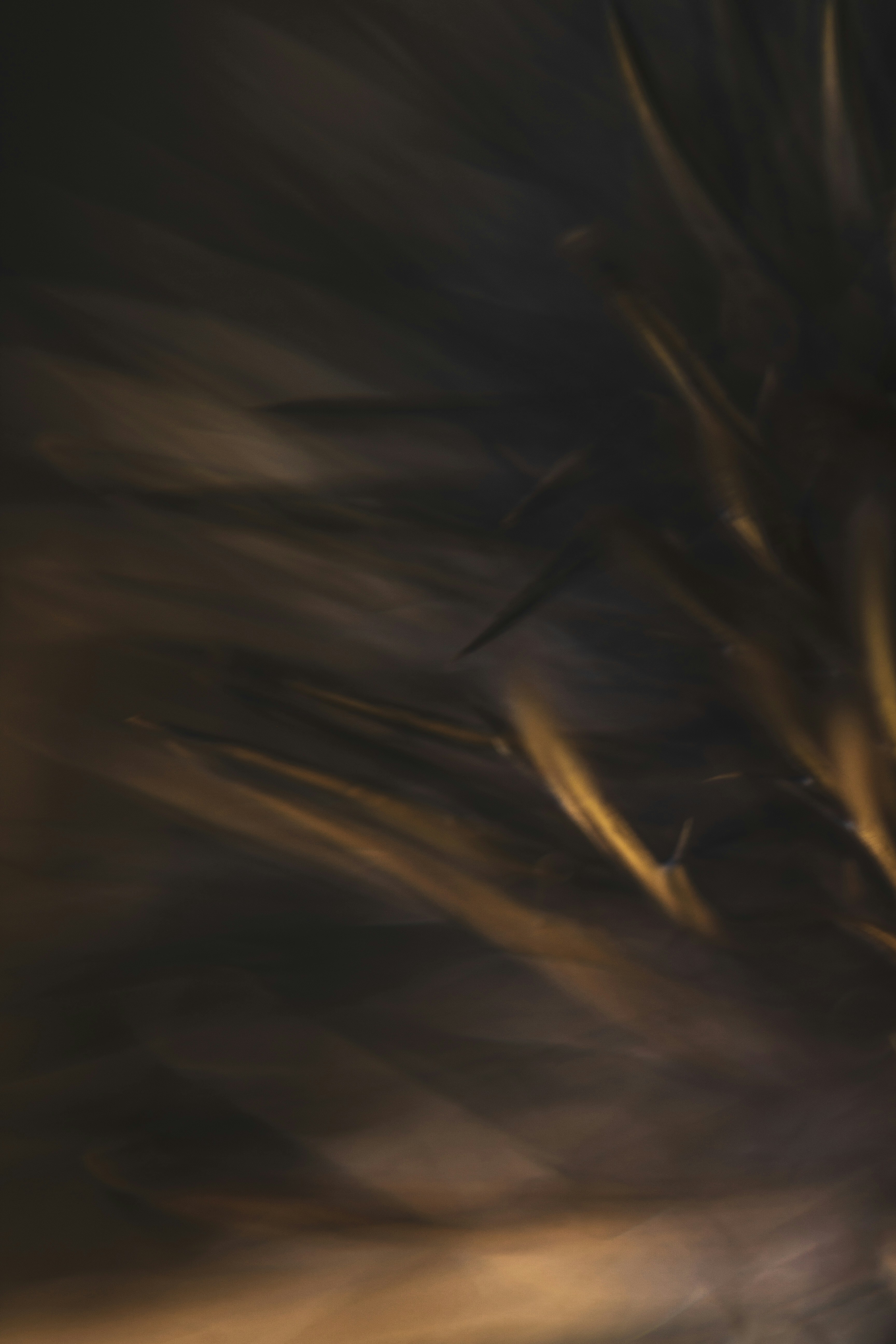 Photo by secondsight