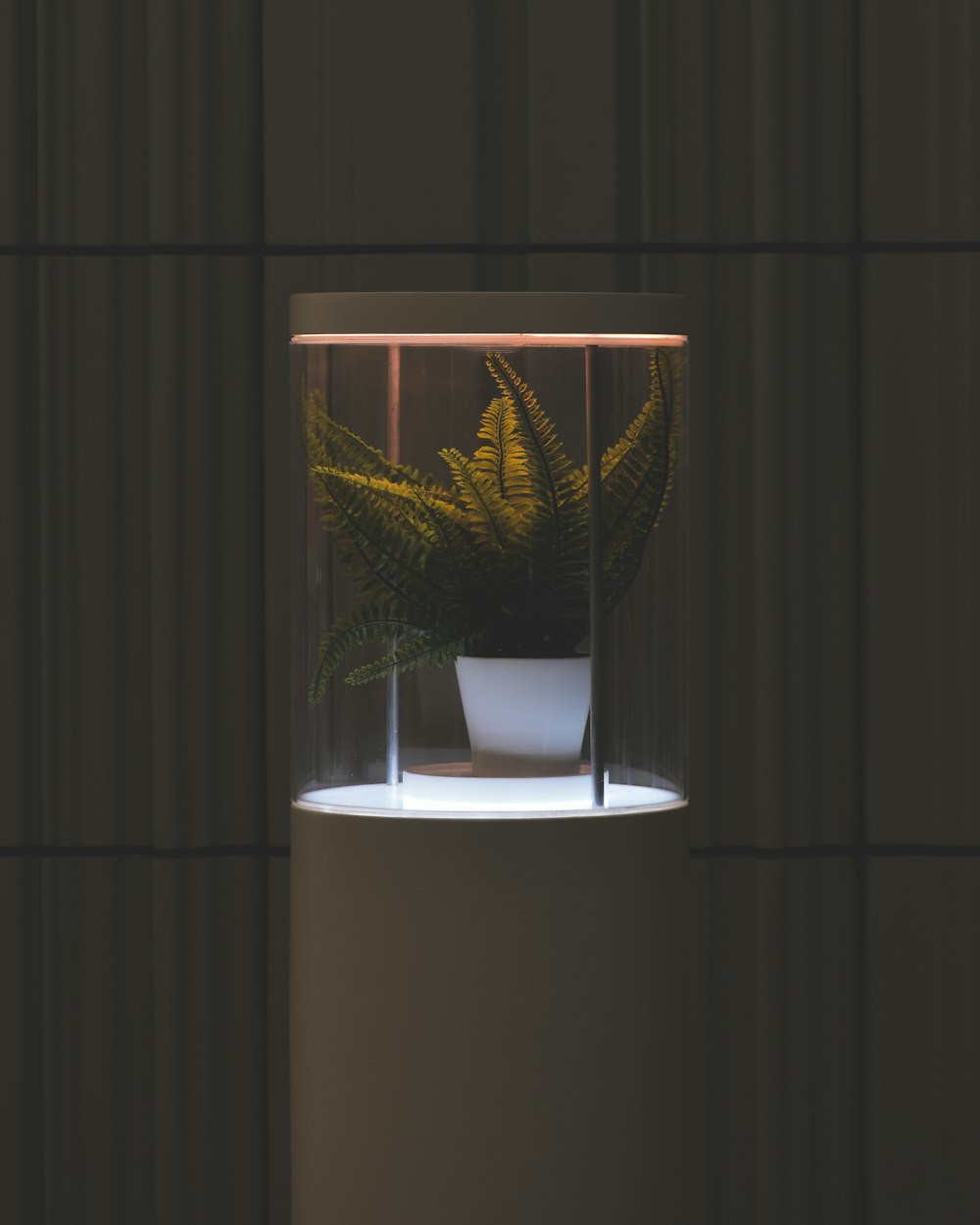 a plant in a glass container on a pedestal