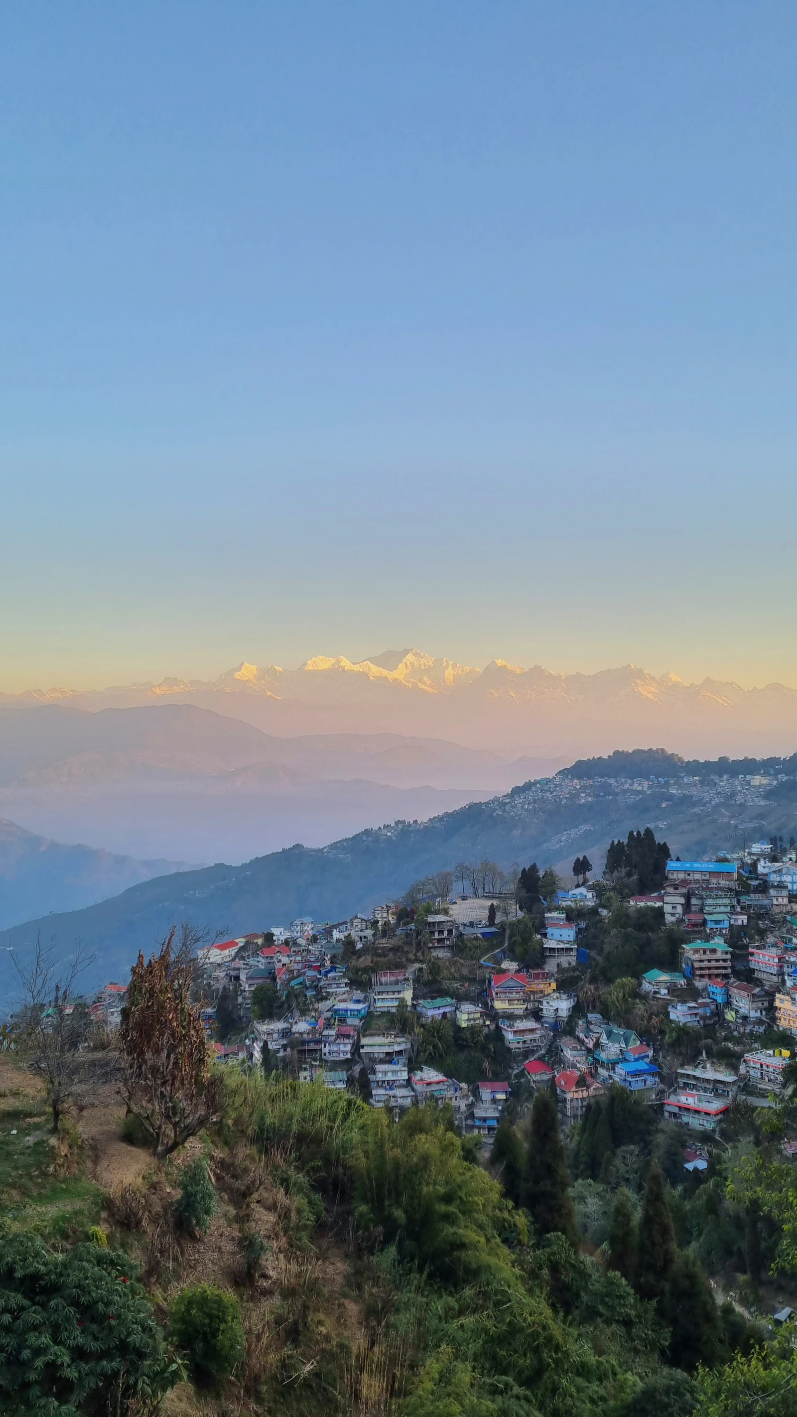 Kanchenjunga lit gold at first light above the rooftops of Darjeeling on its forested ridge