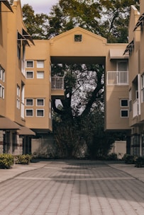 a building with a tree in the middle of it