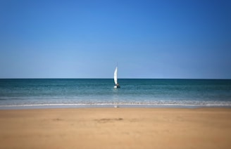 A sailing instructor guiding a student on a small boat with bright blue sky and calm sea in the background